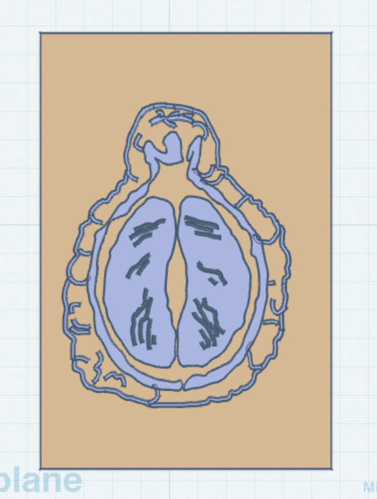 Screenshot 2026-02-19 at 11.29.44 AM.png