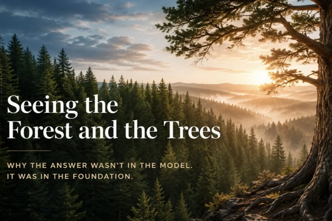 Seeing the Forest and the Trees