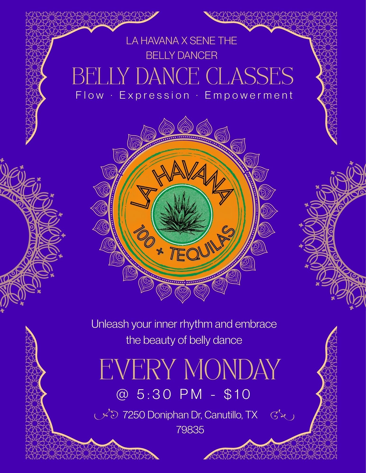 Belly Dancing Lessons