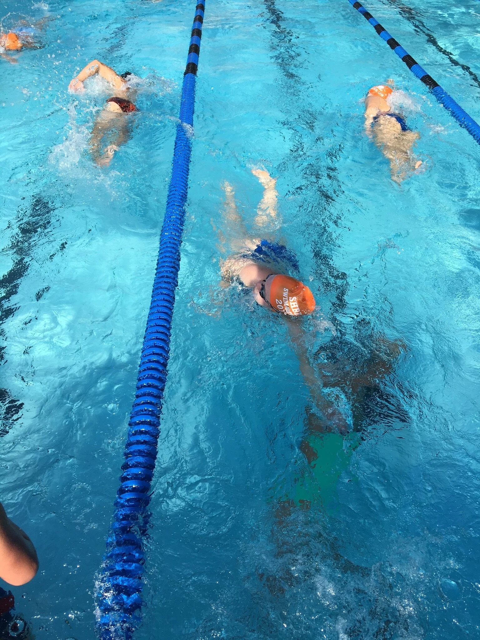 Swimmers in a swimming pool practicing for a swim meet, wearing orange swim caps and goggles.