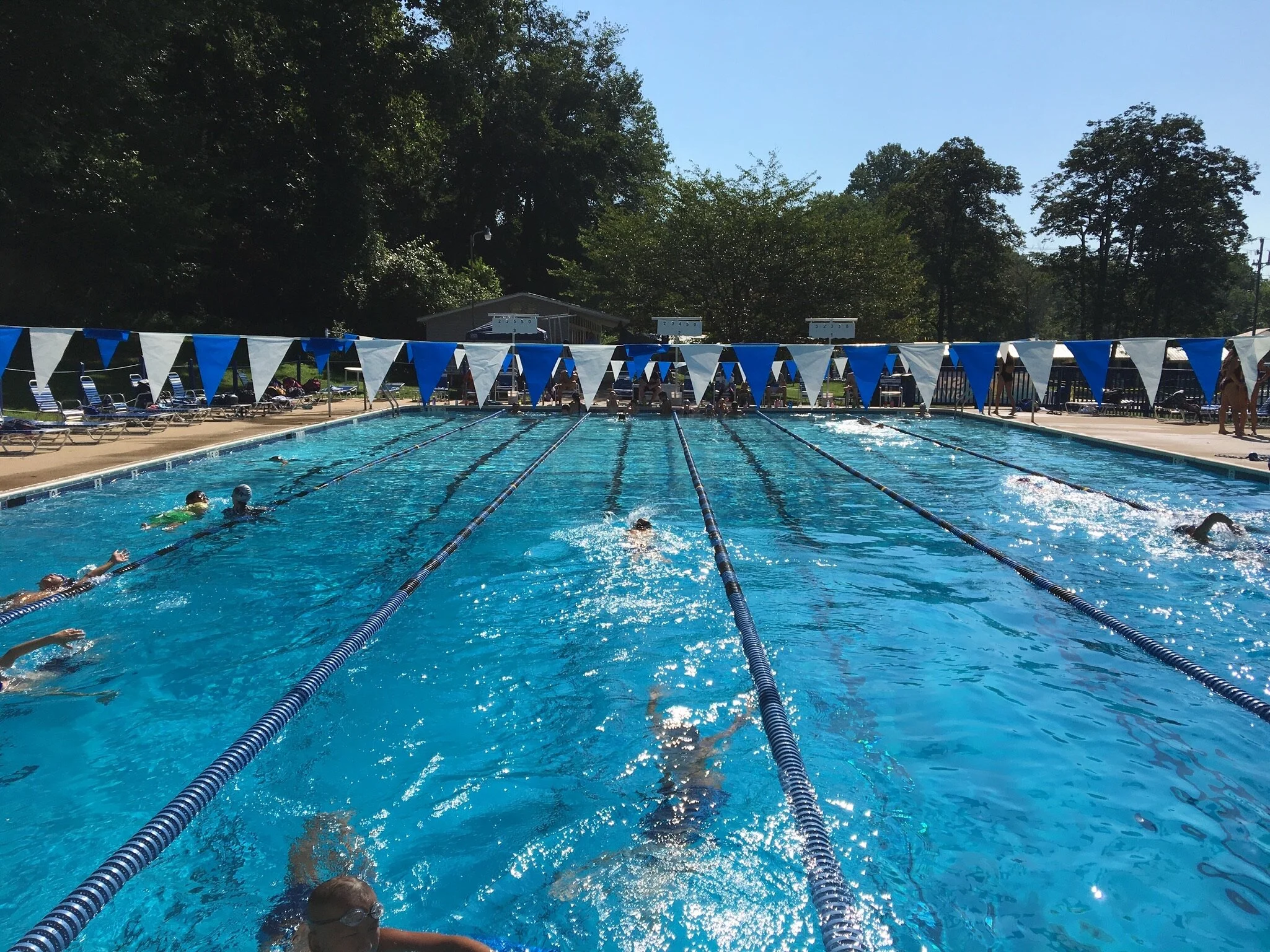 An outdoor swimming pool with swimmers and lane dividers, surrounded by lounge chairs and green trees on a sunny day.