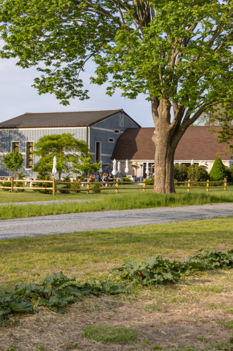 Sagaponack Farm Distillery