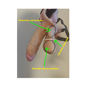 Moveable Testicles