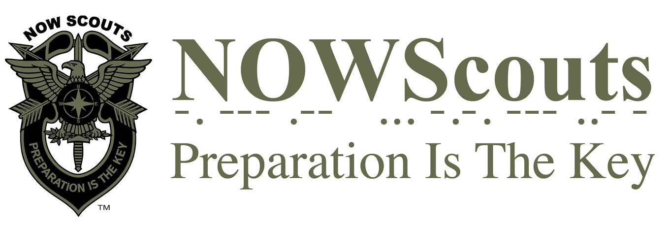 The NOW Scouts