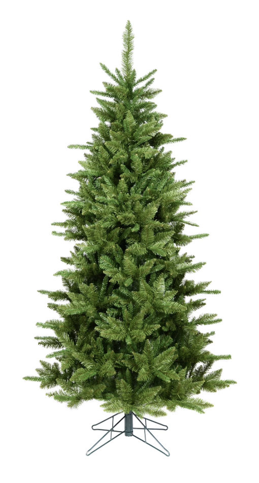 Screenshot 2026-02-05 at 8.24.29 AM.png