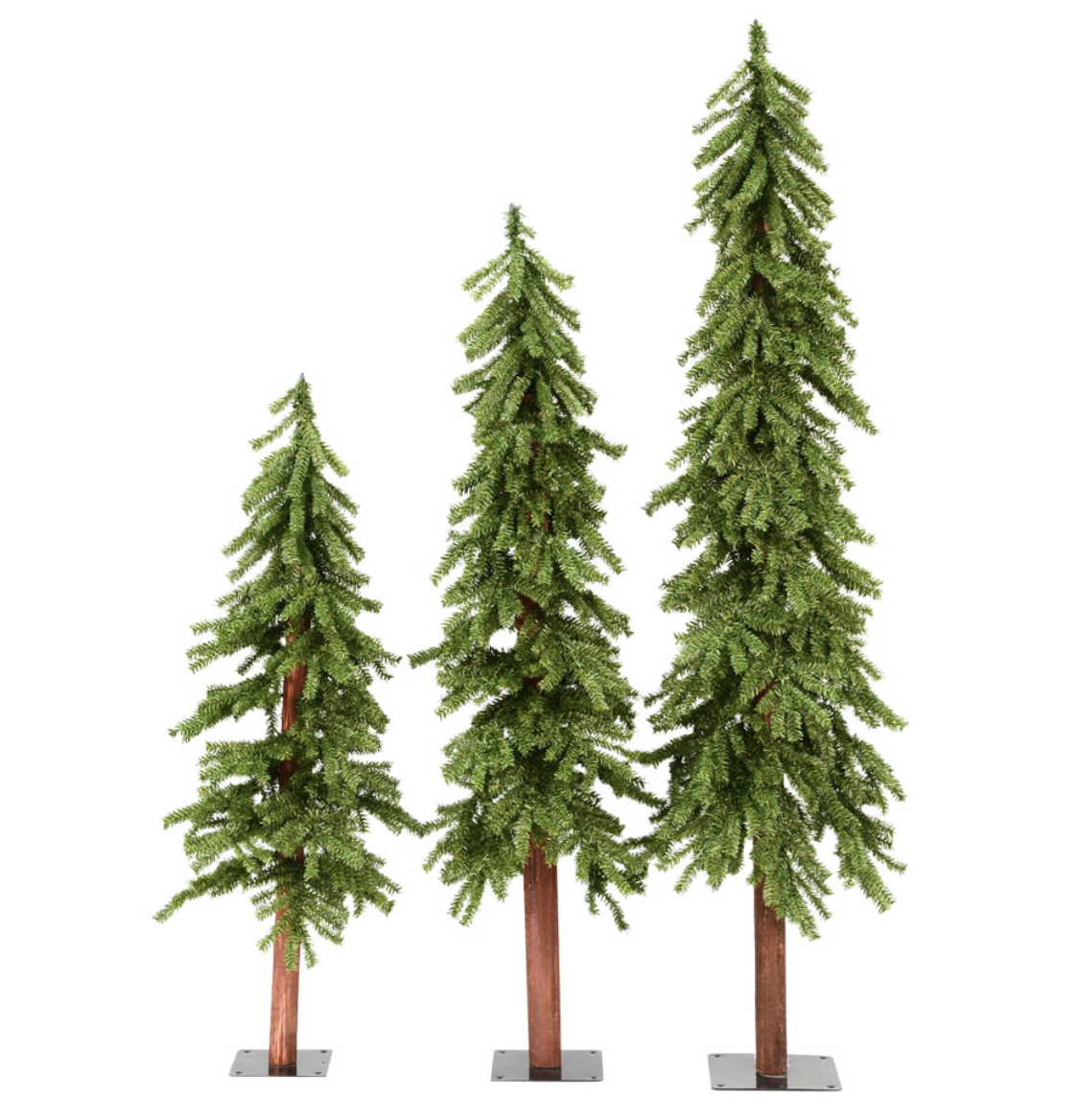 Screenshot 2026-02-05 at 8.20.25 AM.png