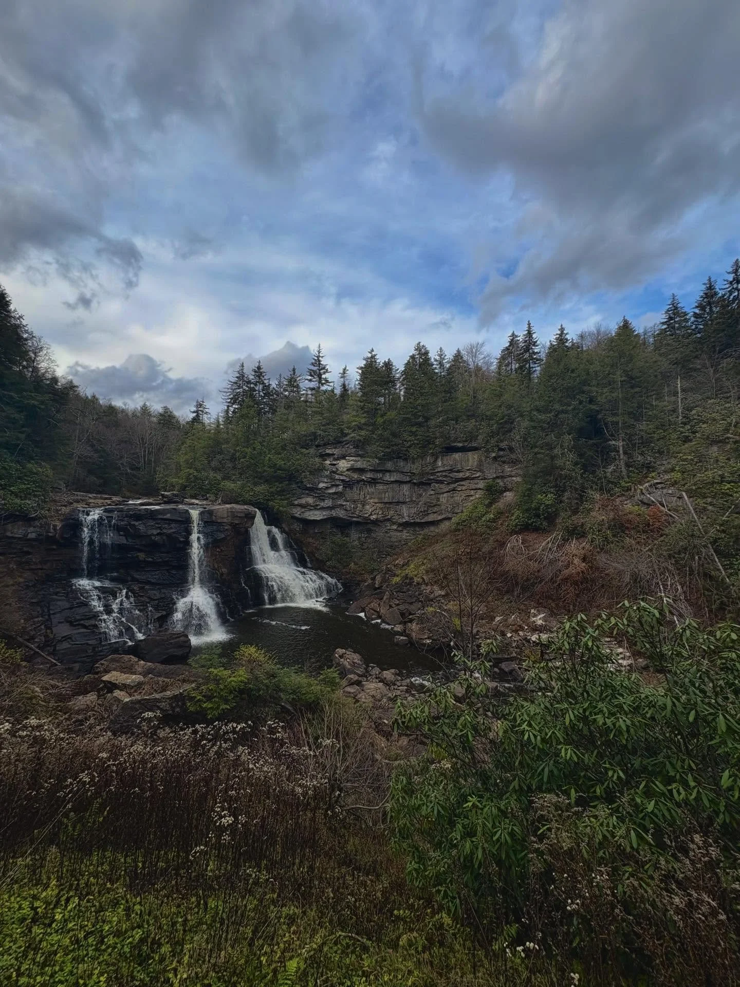 be like water etc. etc. 

want to flow like this waterfall? try acupuncture. 

are you more centered in the woods or with the water?