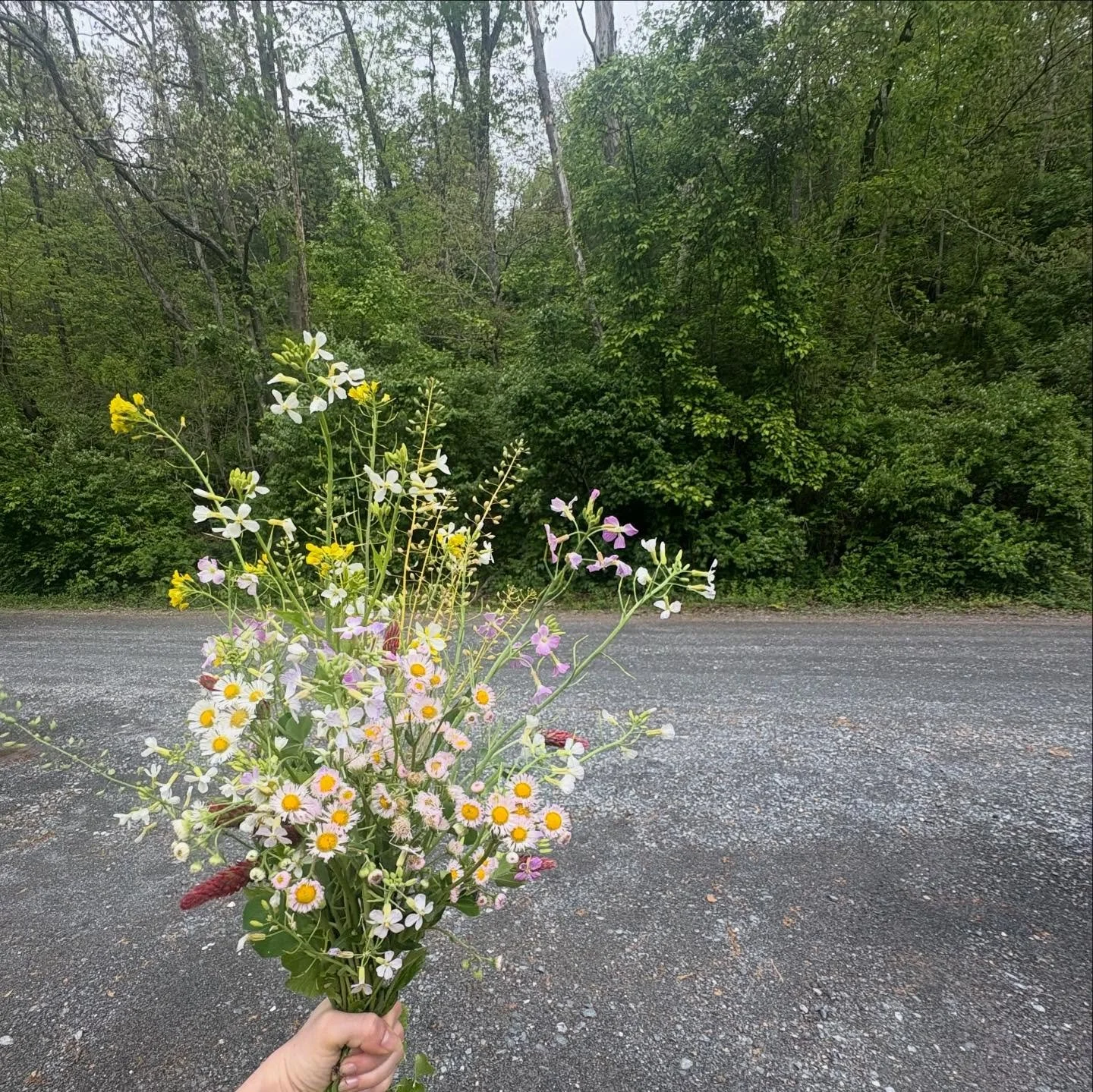 been feeling that overactive liver during the spring season. as a gal who runs on a wood earth imbalance i love to take some time to run around in the woods. picking flowers and singing to my best karaoke jams in the car are the cherries on top of a 