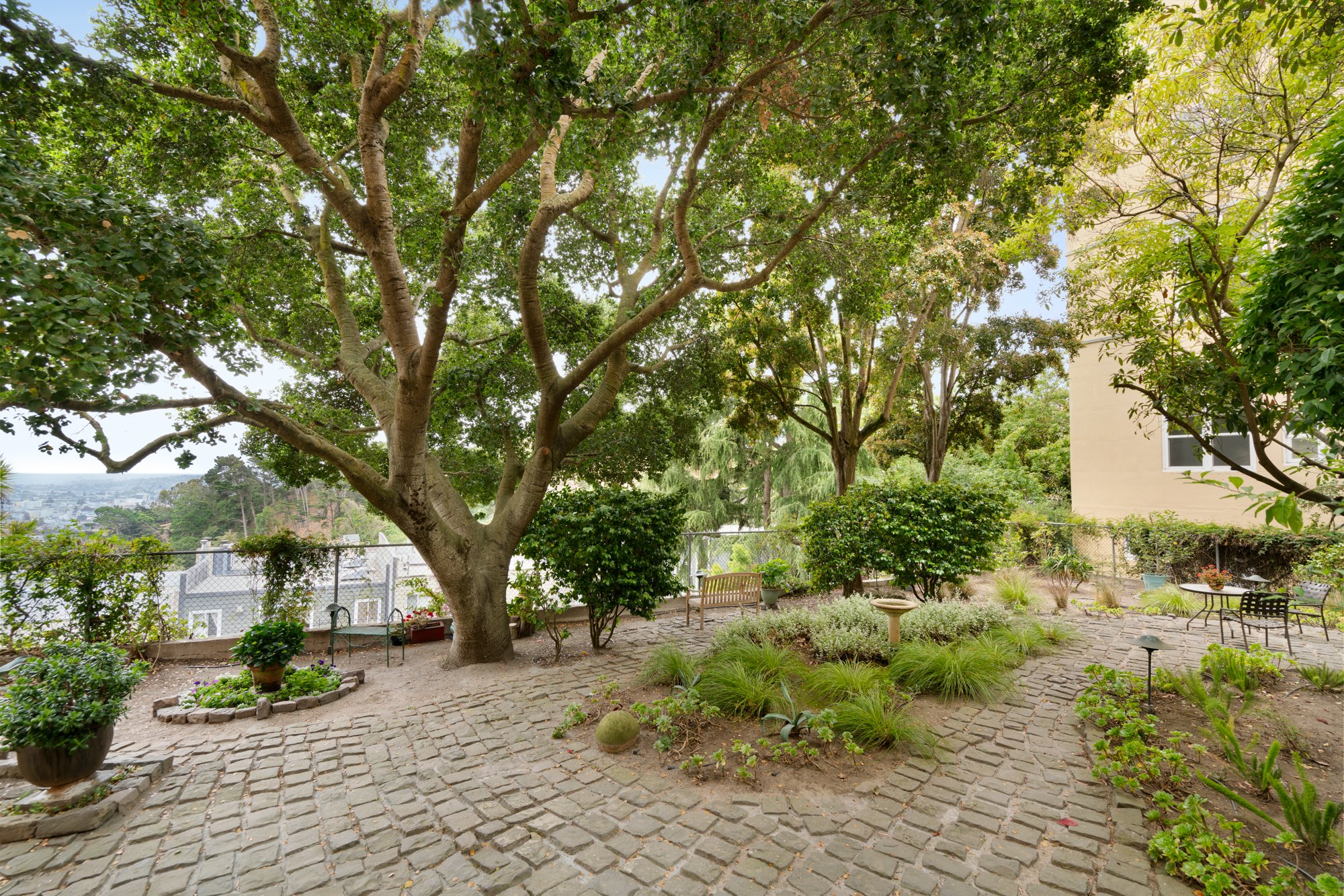 A peaceful garden with a large tree at the center, surrounded by various smaller bushes and plants, stone pathway, benches, and potted flowers, with a fence and city view in the background.