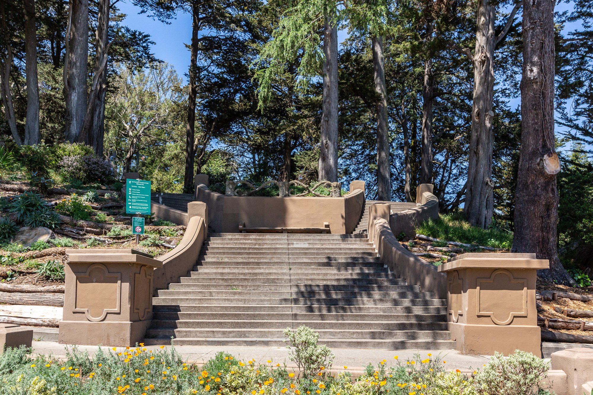 Stone staircase leading up through a garden with tall trees in the background.