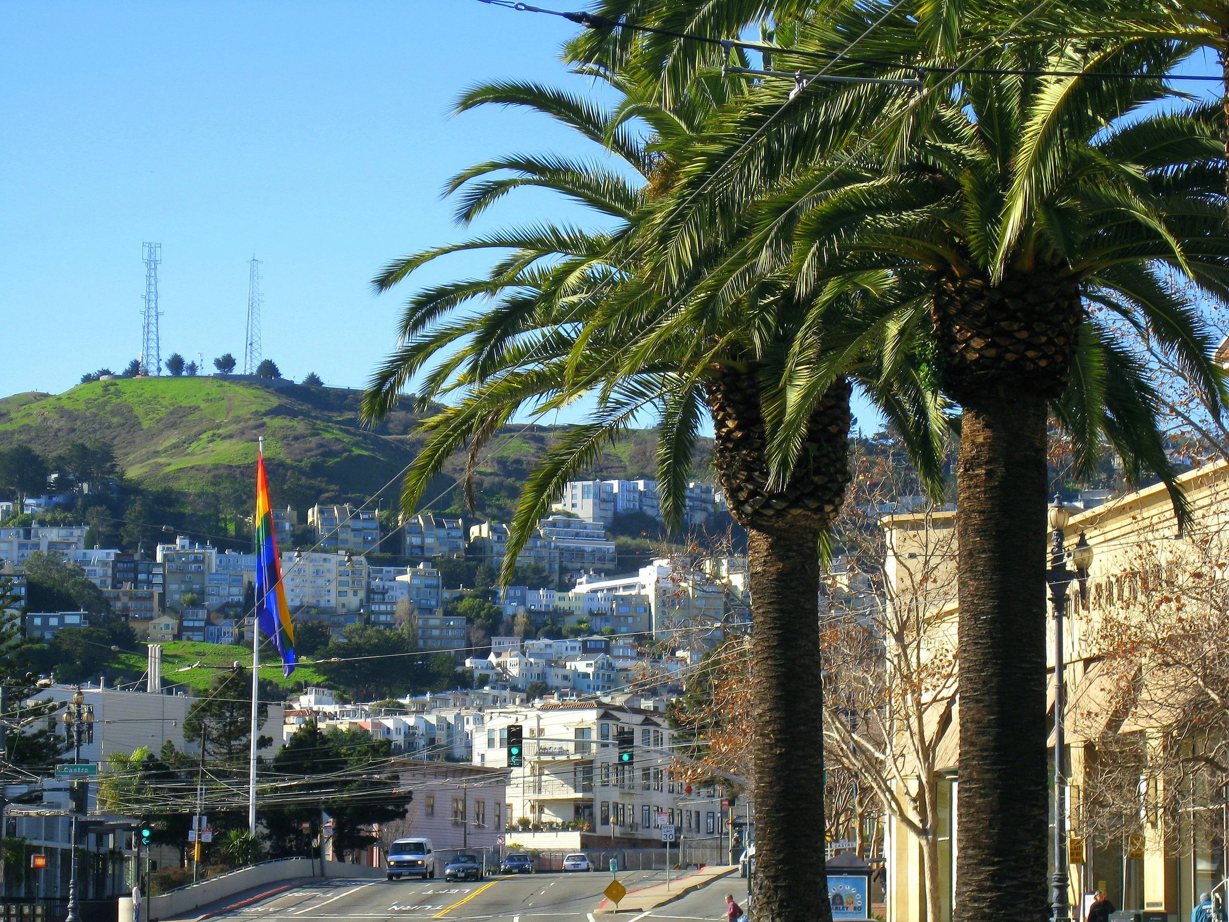 Street view in San Francisco with palm trees, rainbow pride flag, and hilly residential area in the background.