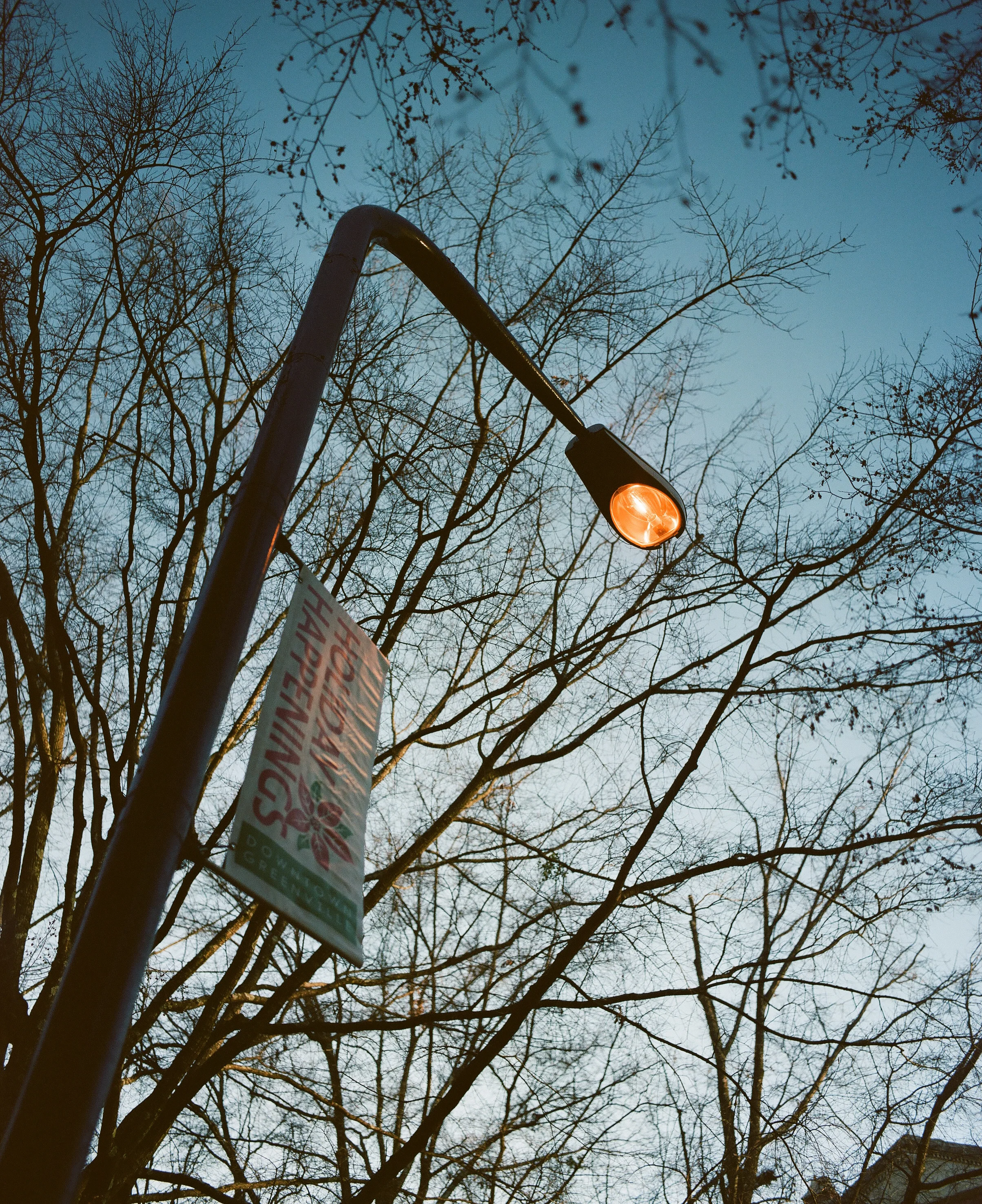 Portra 400 // 75mm // f4