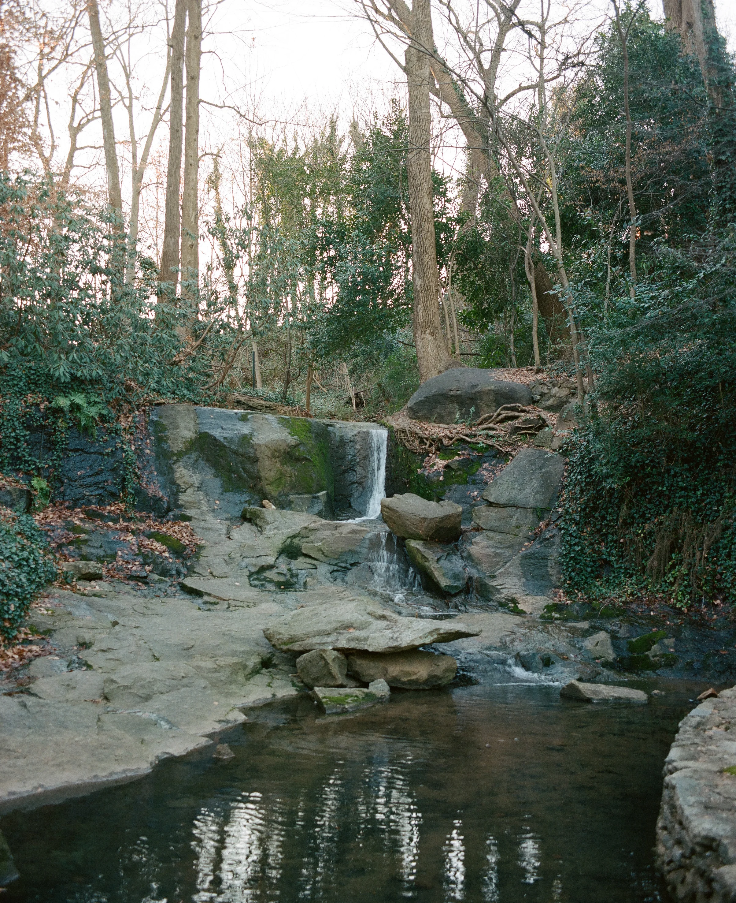 Portra 400 // 75mm // f4