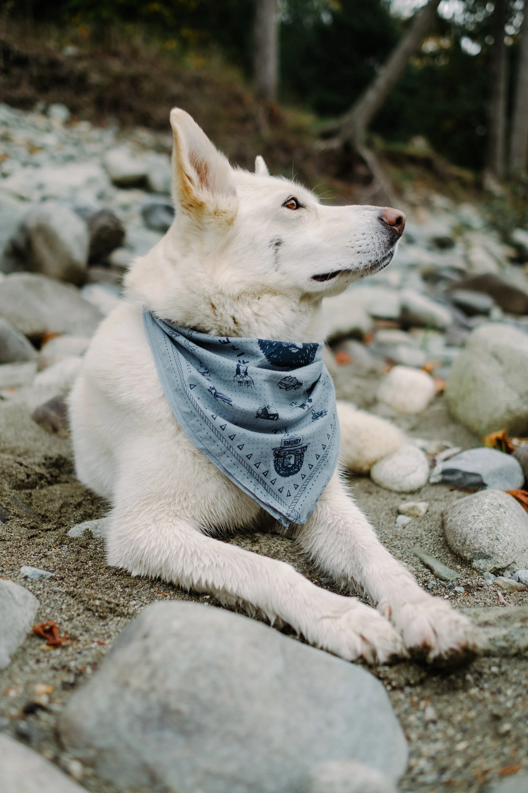 Styled Shoot of Artist Ali Hancock (Copy)