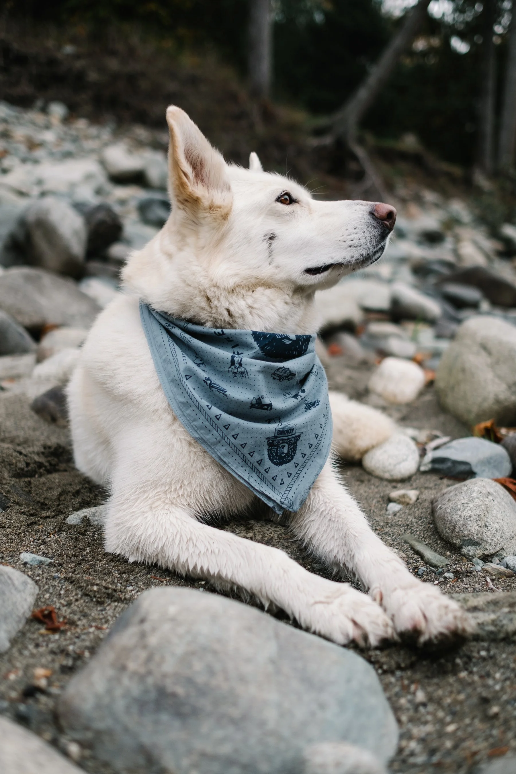 Lifestyle Creative of the Landmark Project by Evan Lewis (Copy)