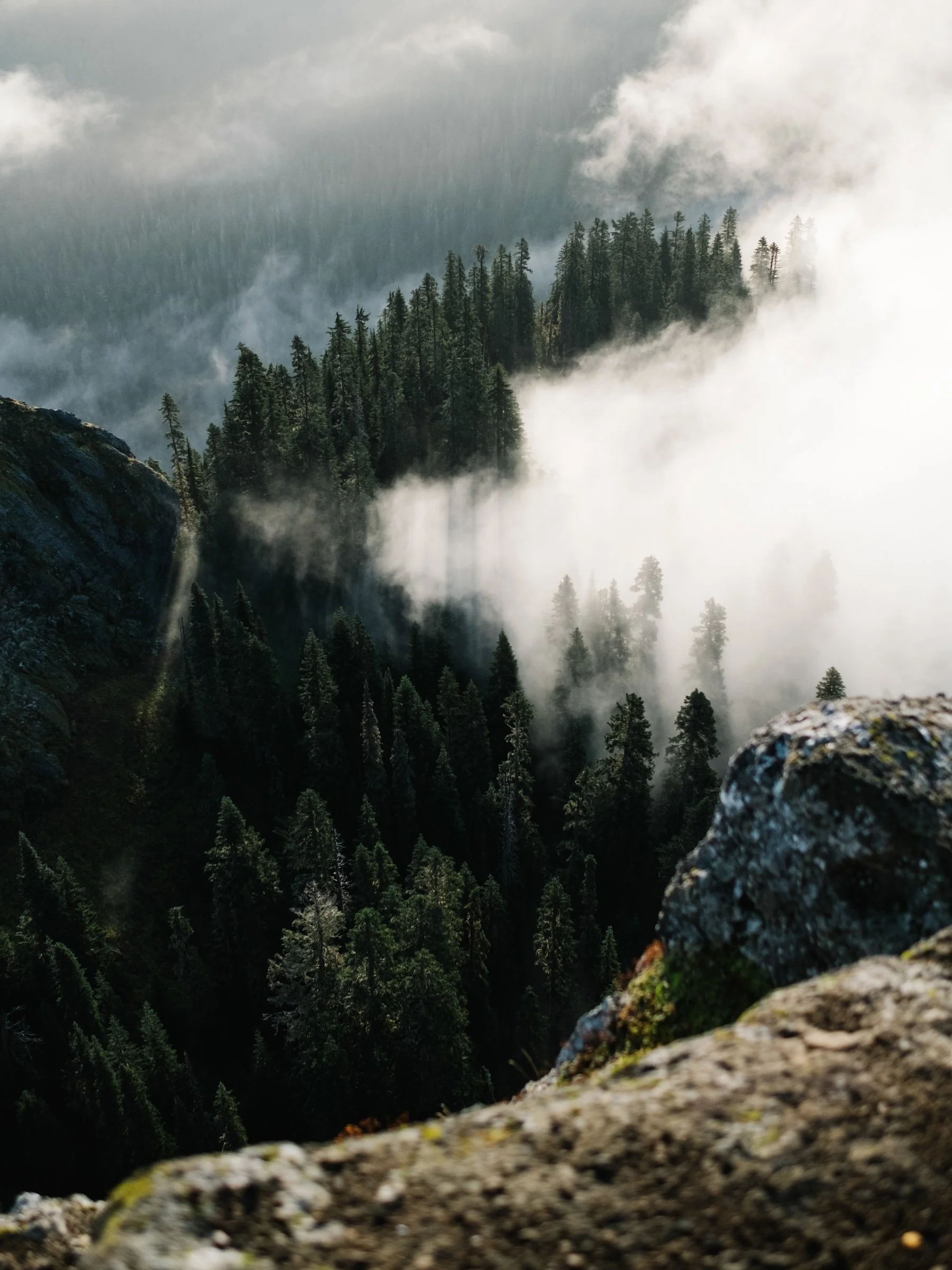 Lifestyle Creative of the Landmark Project by Evan Lewis (Copy)