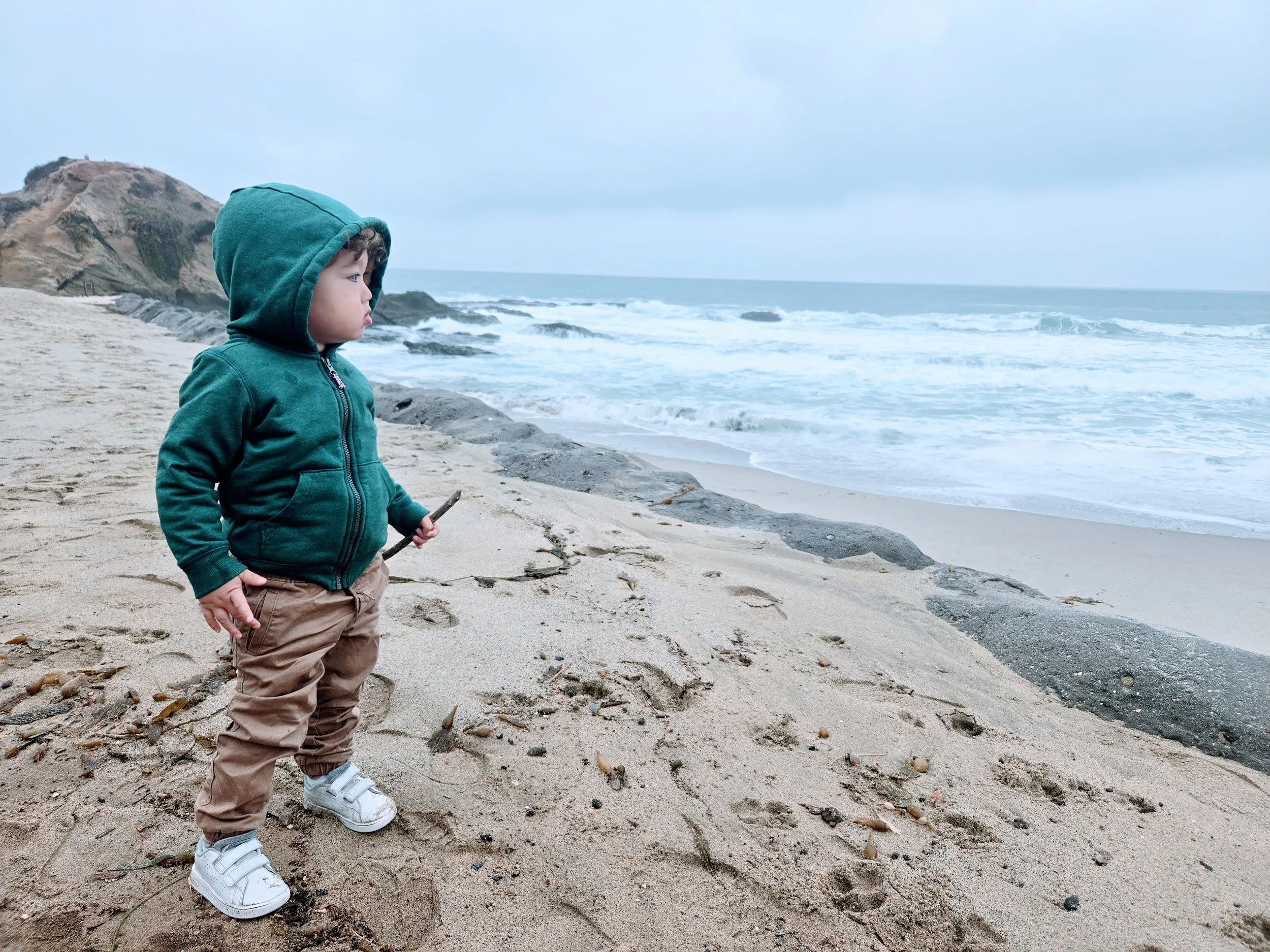 Is this normal toddler behavior… or something more?