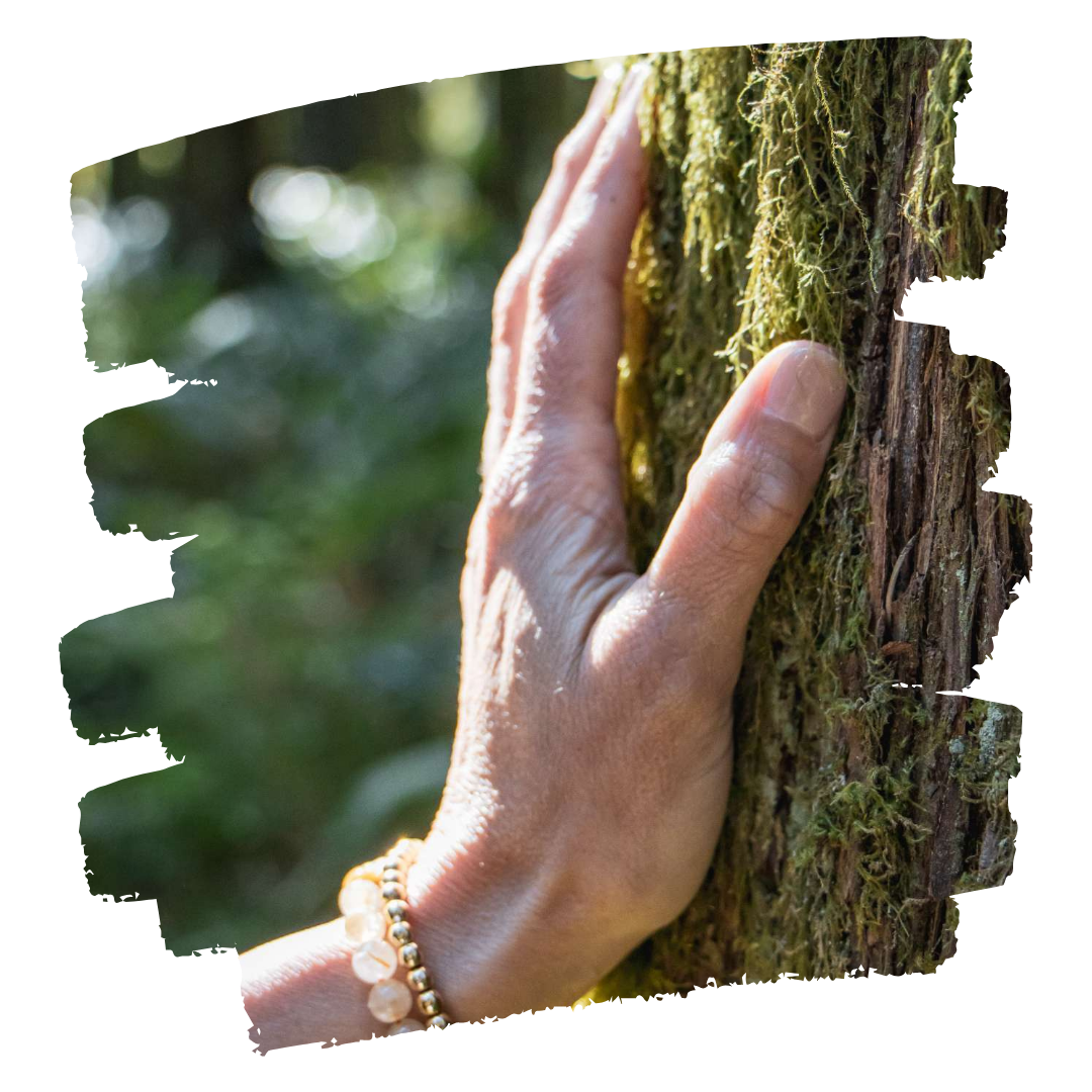 Seasonal Ritual Workshops