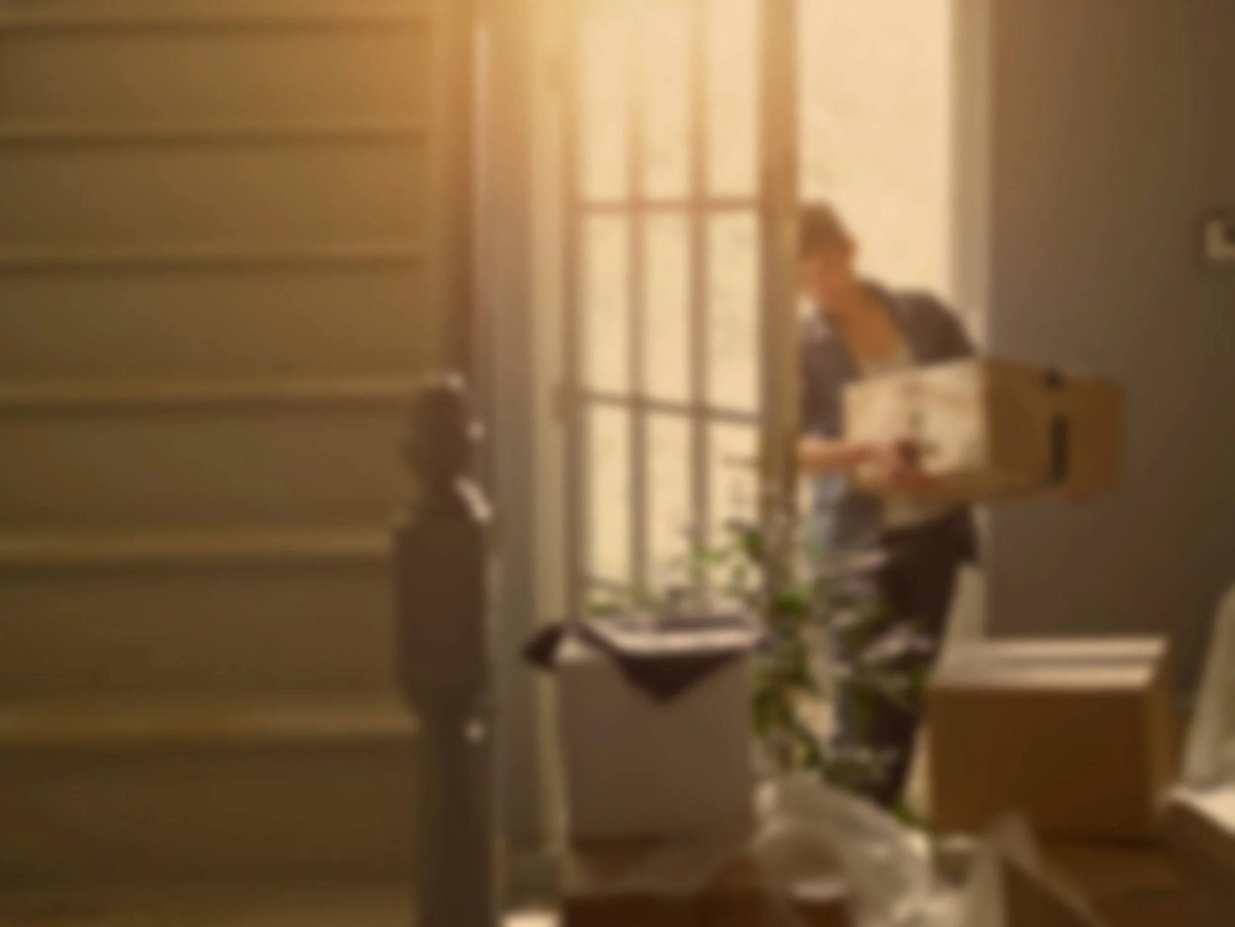 A woman carrying a box inside a house, viewed through a slightly frosted glass door.