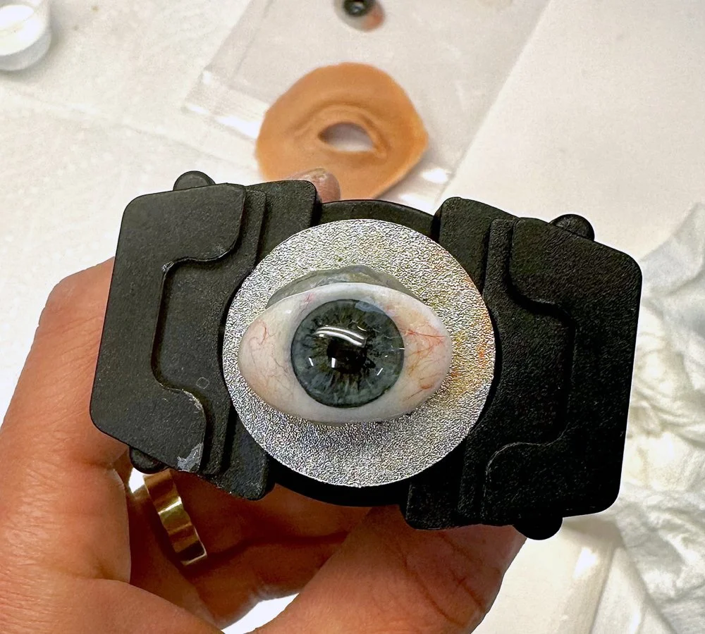 ocular prosthesis, artificial eye