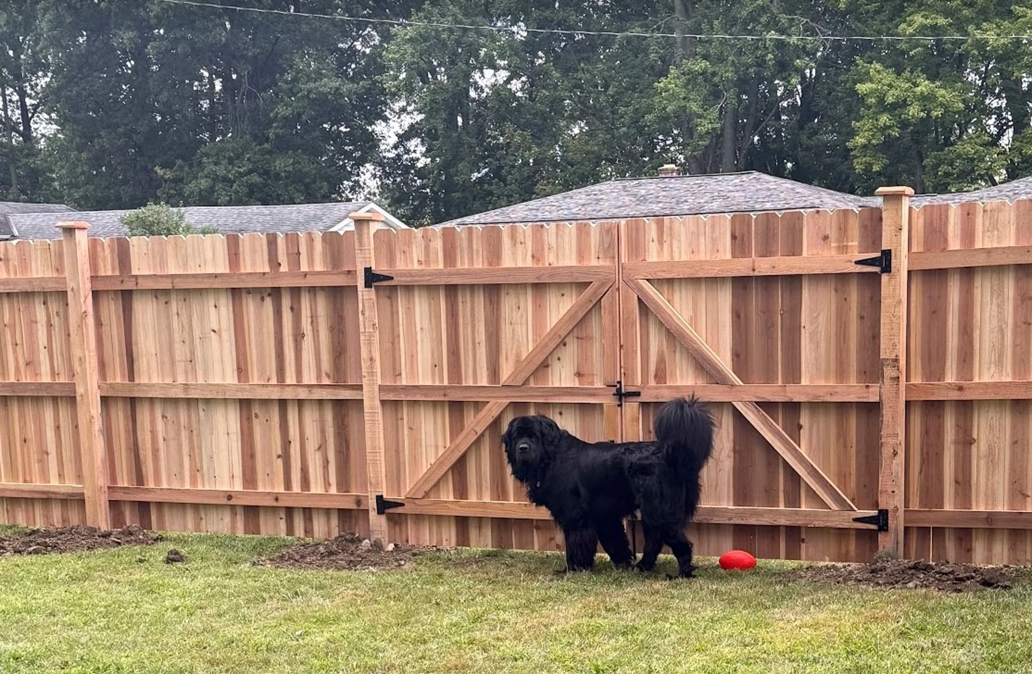 6'-Privacy-DE Straight-Cedar-284.jpg