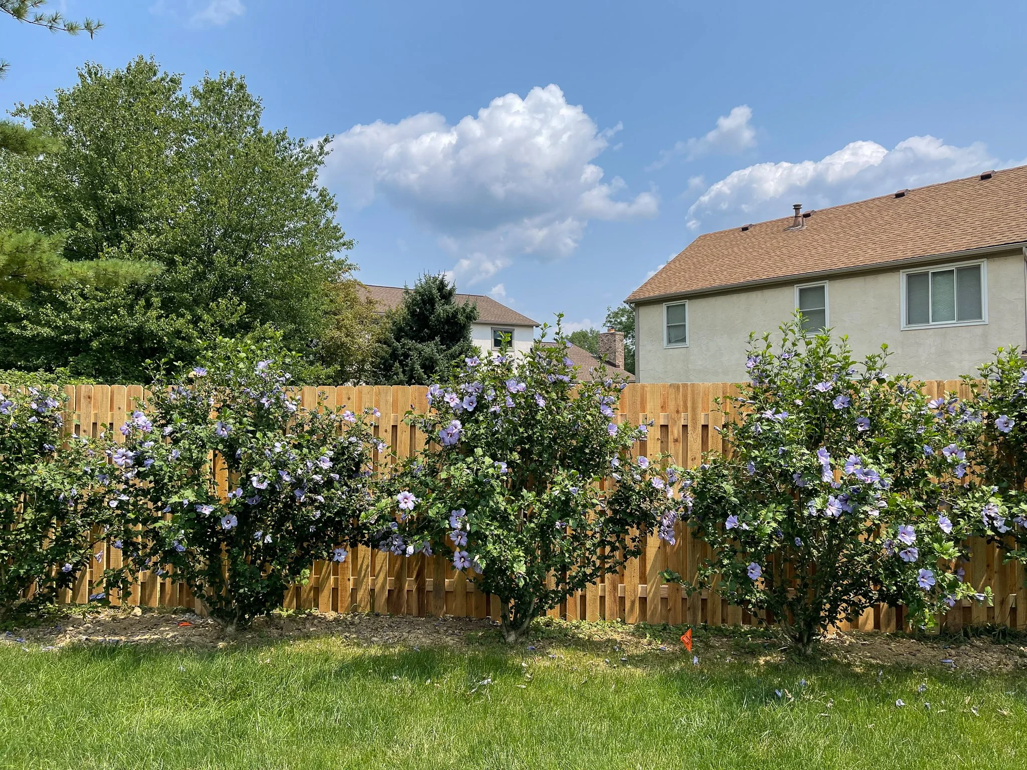 6'-ShadowBox-DE Straight-Cedar-201.jpg