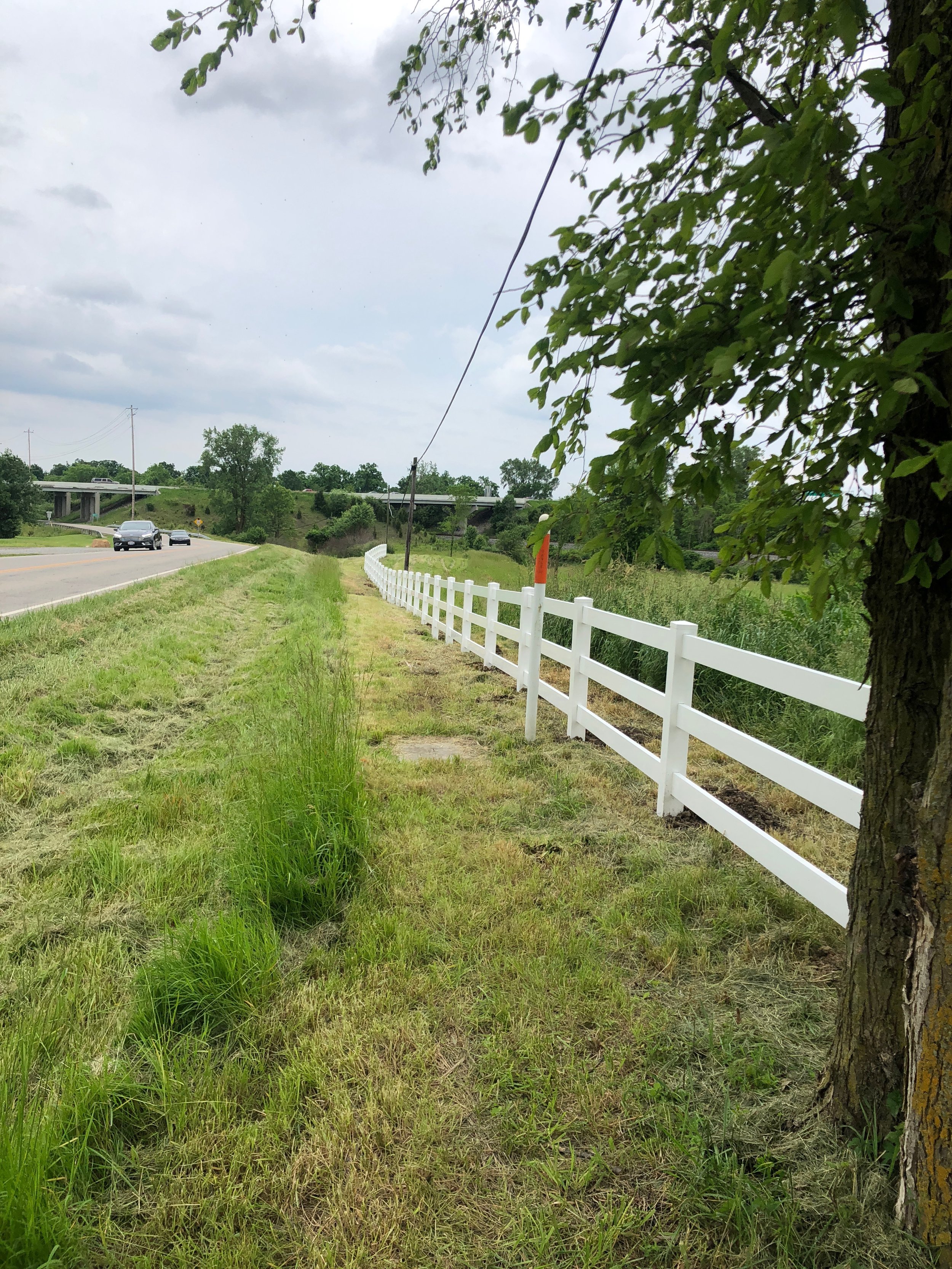 Vinyl - RanchRail.jpeg