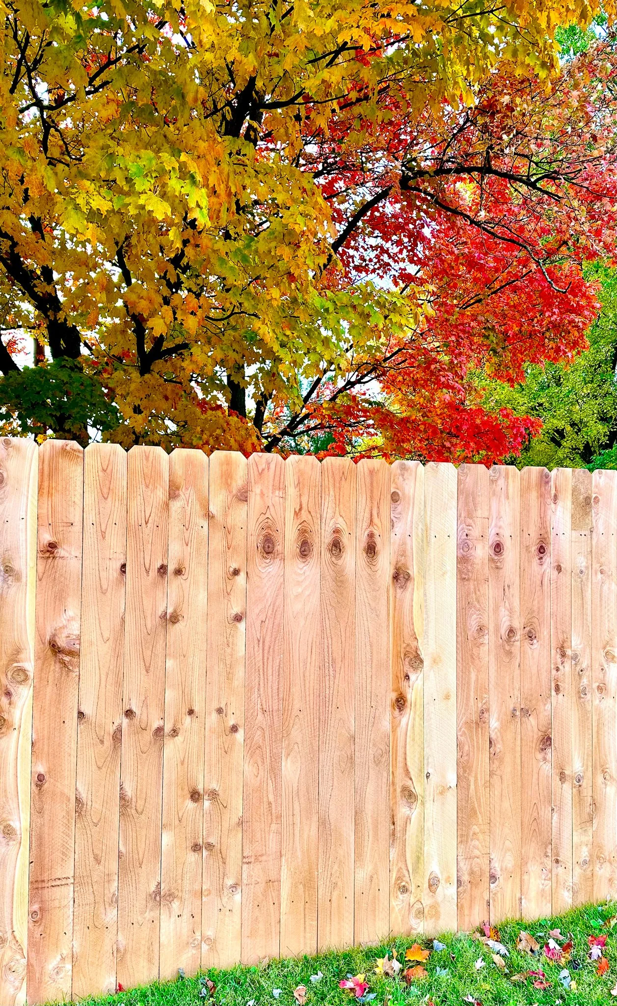 6'-Privacy-DE Straight-Cedar-245.jpg