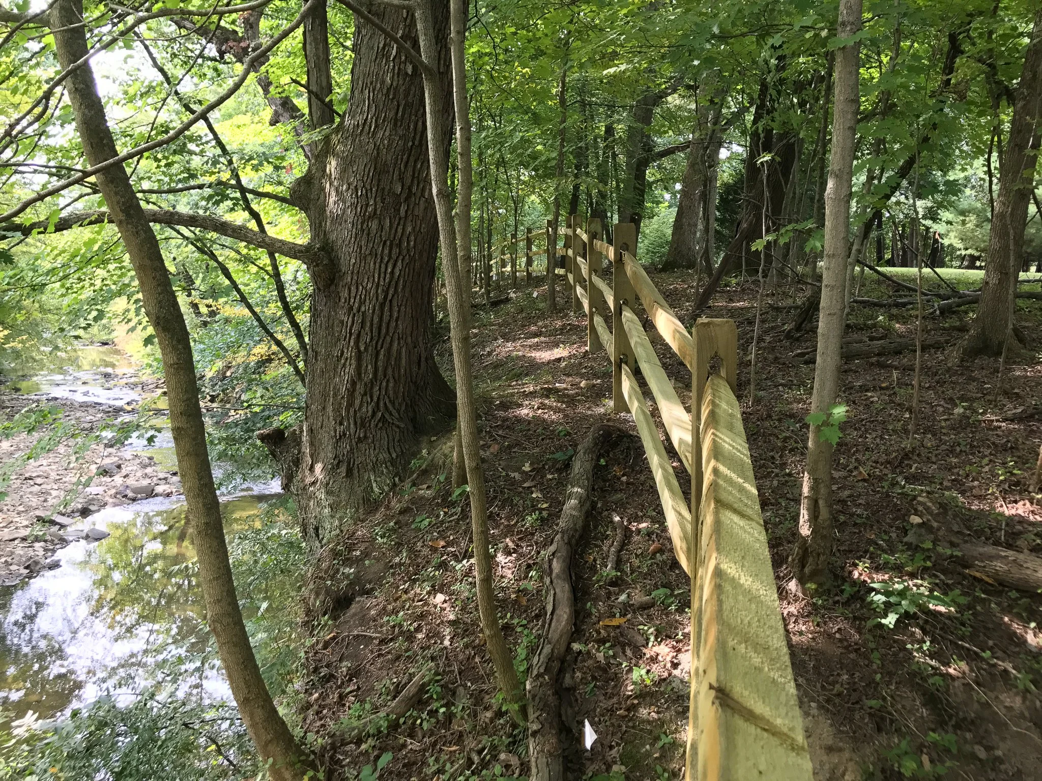 4'-Split Rail-3 Rail-Wood-03.jpg