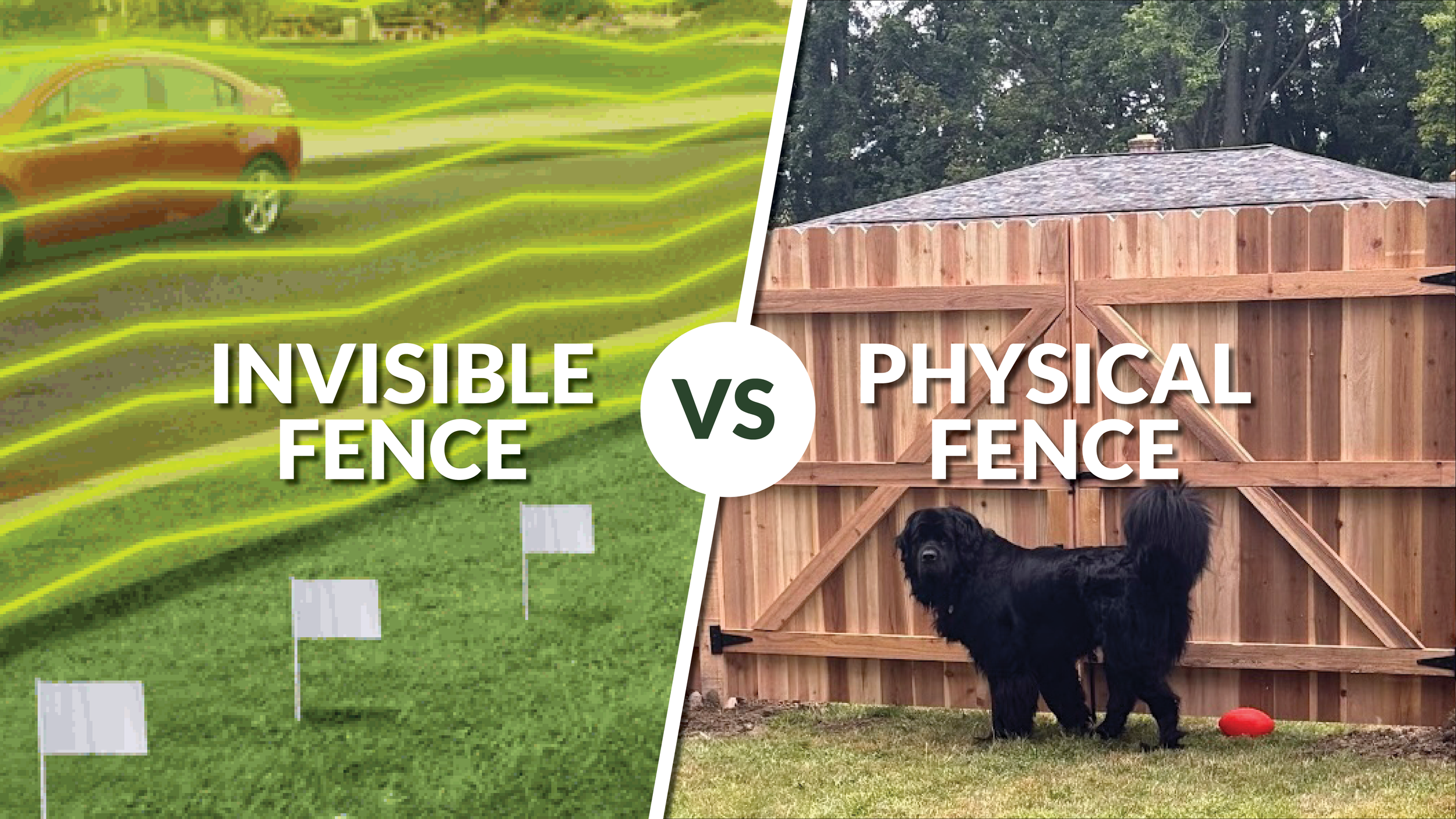 Invisible Fence vs. Real Fence: What Actually Keeps Your Dog Safe?