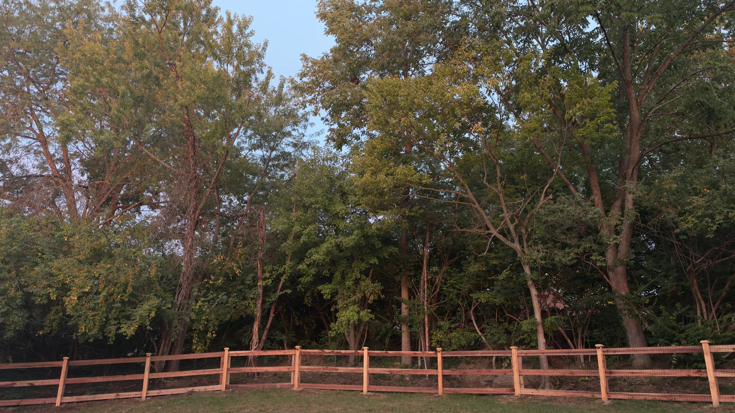 Ranch rail fence with 3 rails and galvanized wire mesh installed around a backyard in Florence KY with trees in the background