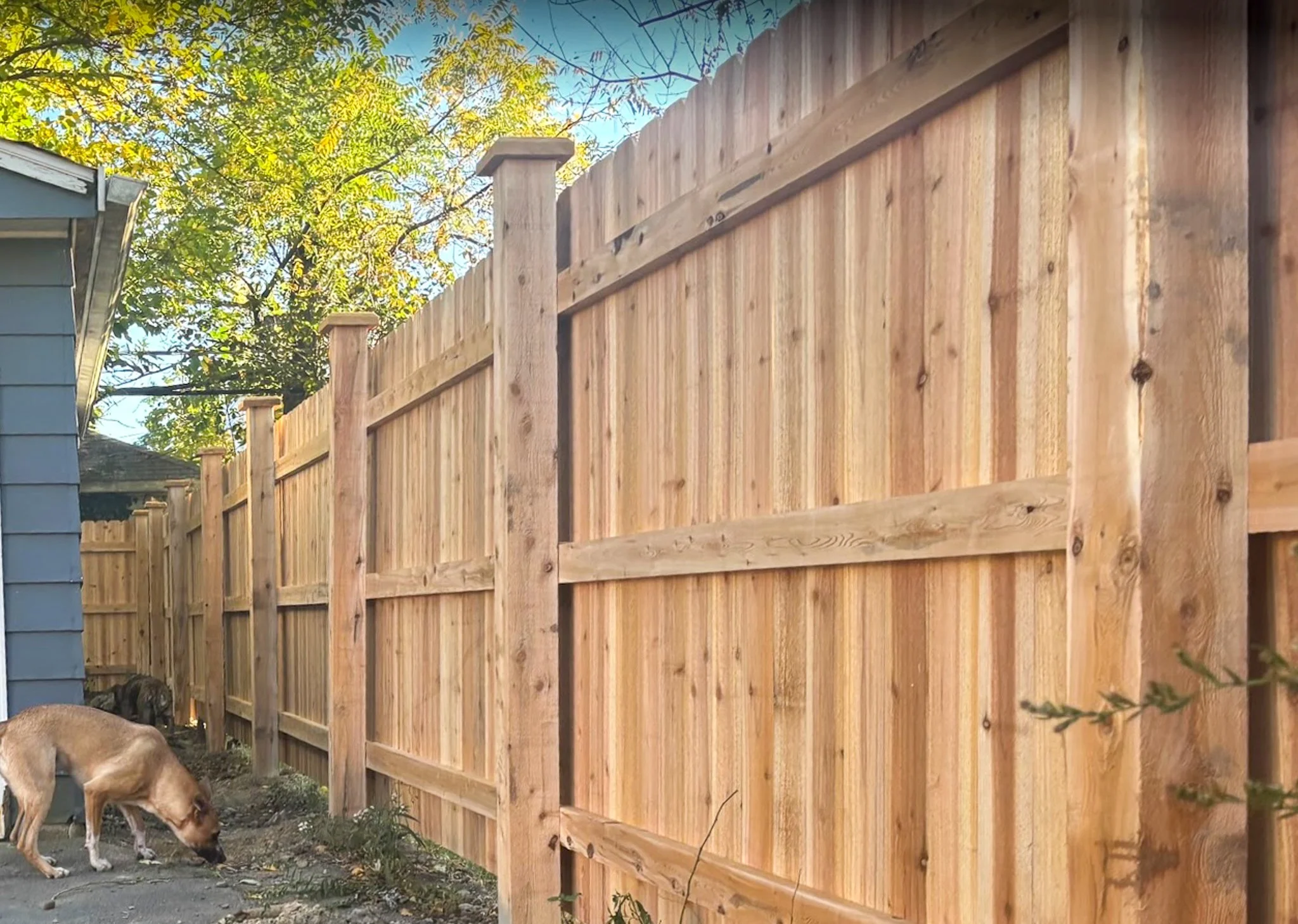 6'-Privacy-DE Straight-Cedar-286.jpg