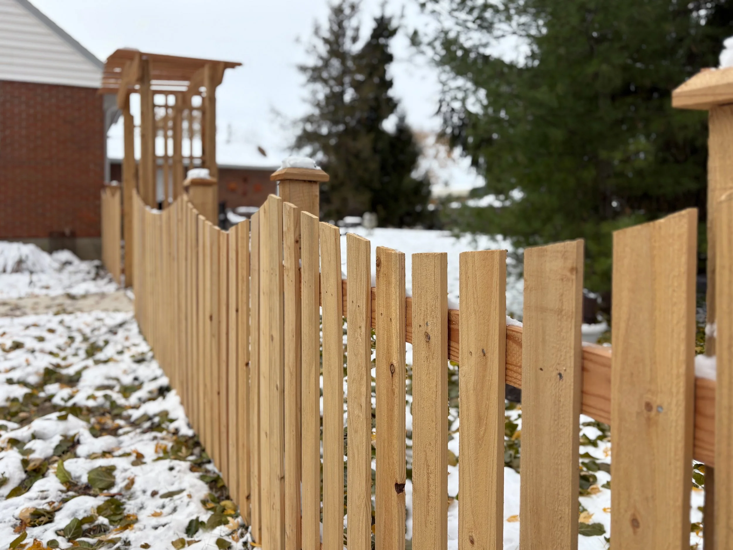 4'-Picket-Cut Scallop-Cedar-323.jpg