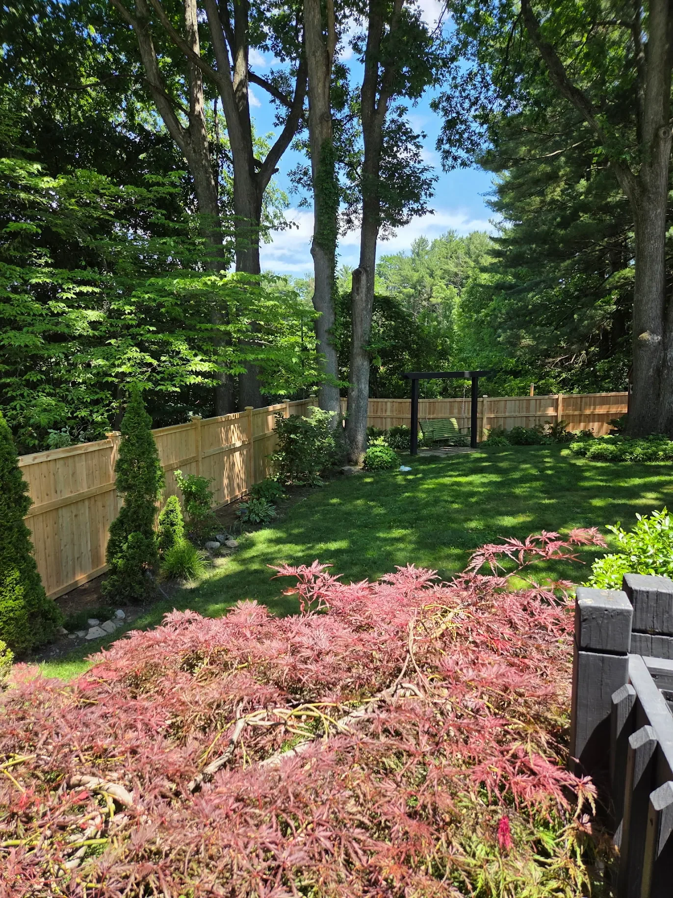 Traditional cedar wooden privacy fence around backyard with plants and trees in Cleveland