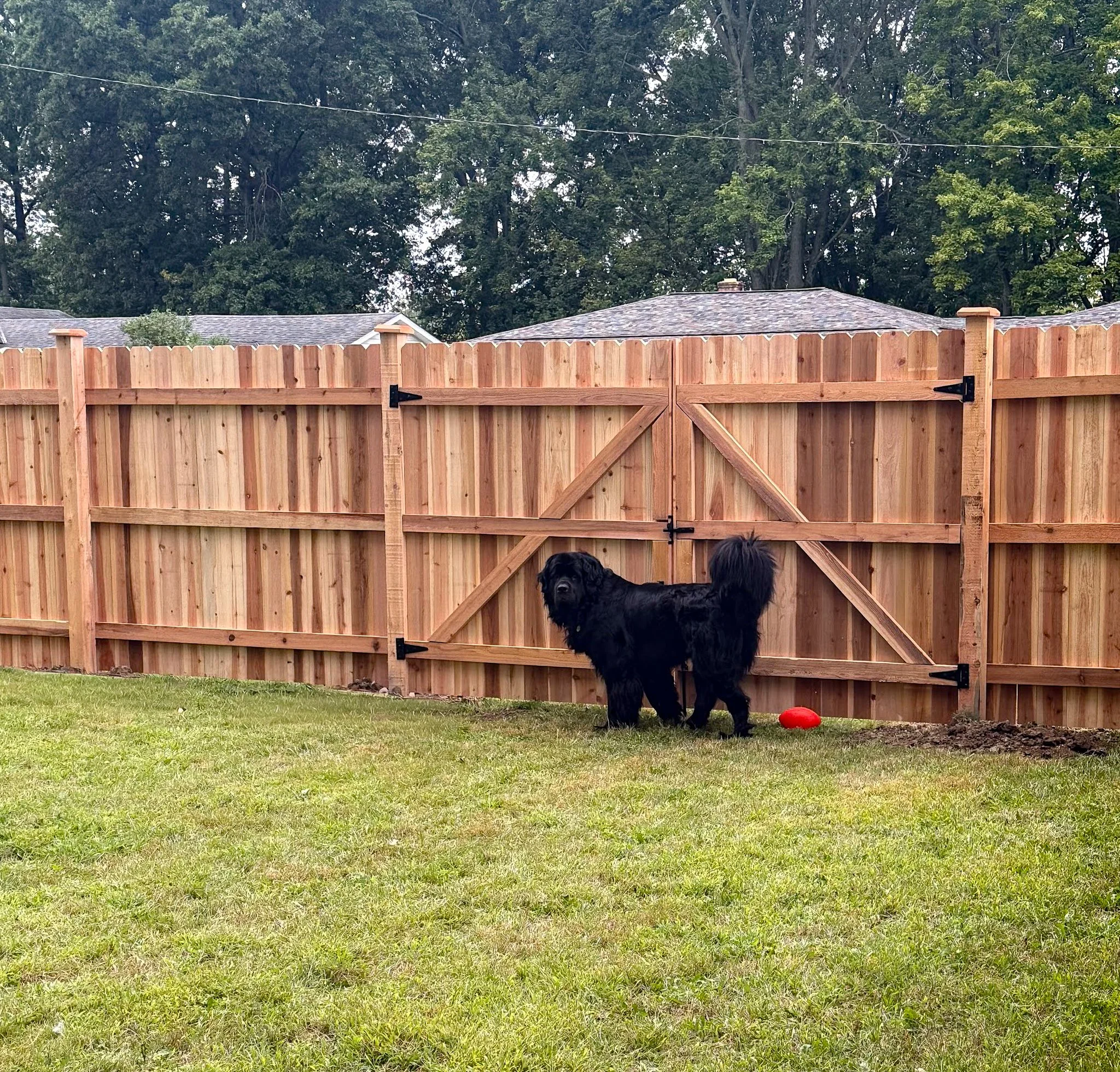 6'-Privacy-DE Straight-Cedar-282.jpg