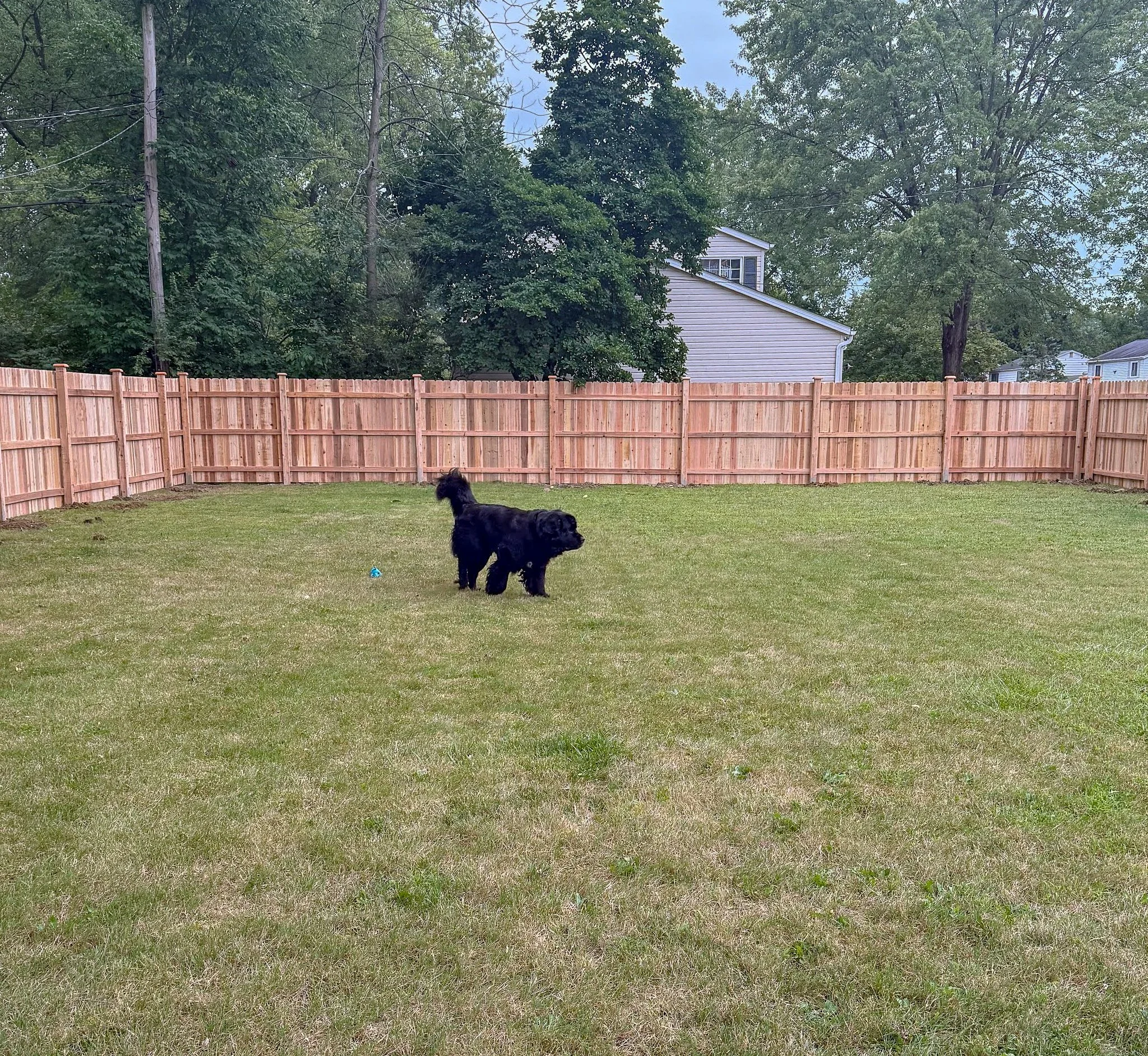 6-Privacy-DE Straight-Cedar-283.jpg