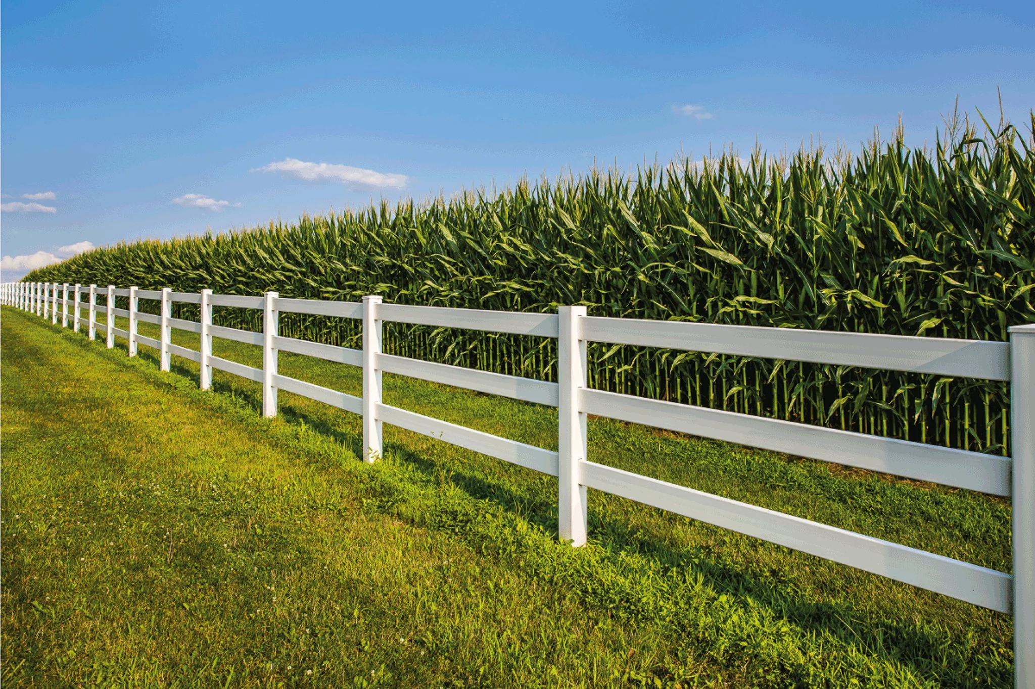 4'-Ranch Rail-3 Rail-Vinyl-156.jpg
