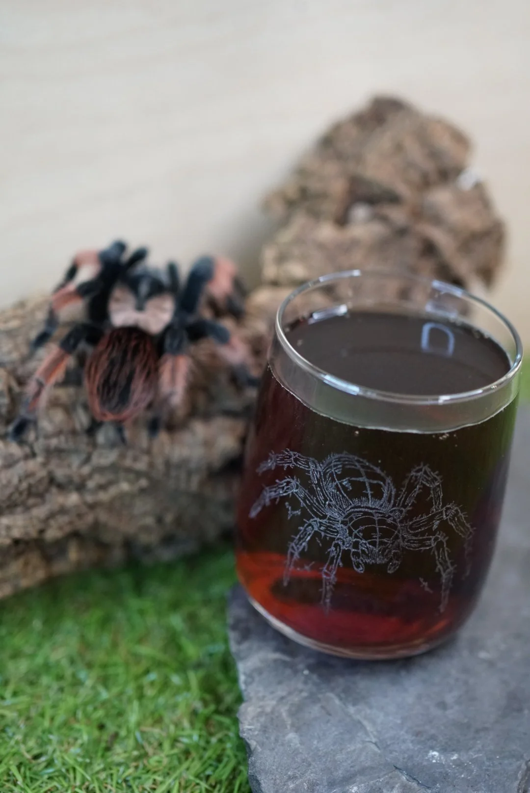 Sklenička s tarantulí