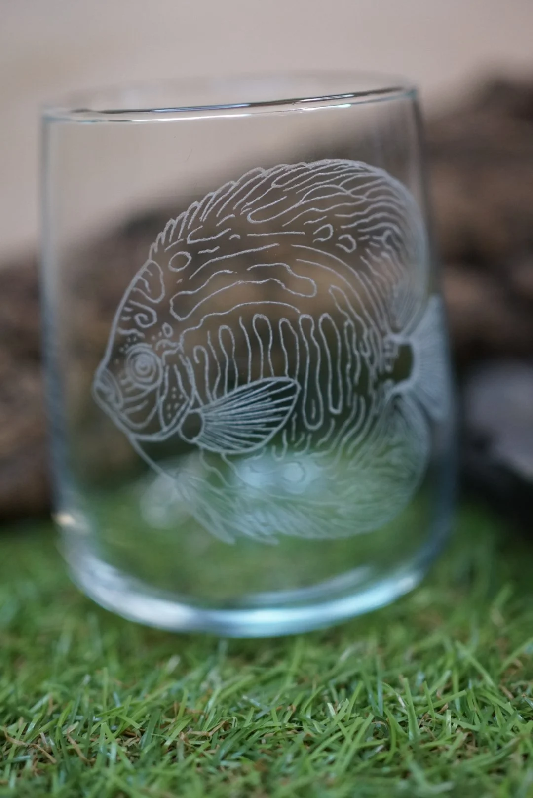 Sklenička s terčovcem