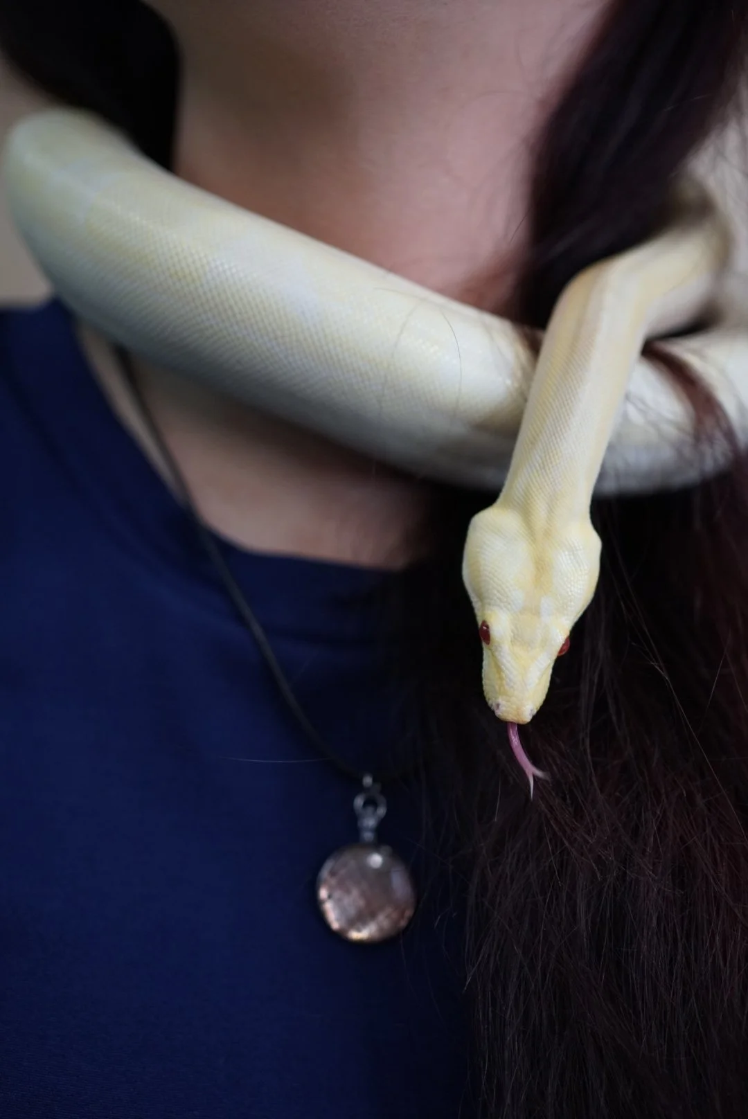 Náhrdelník šedý Hroznýš k.