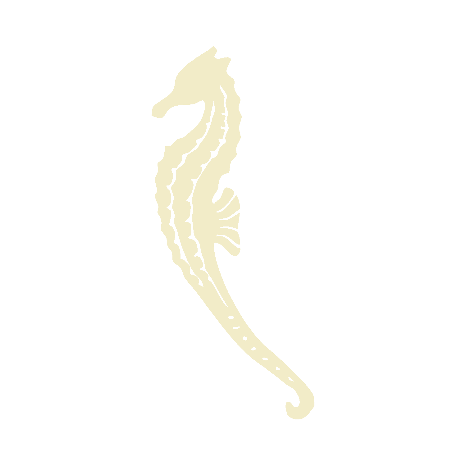 Line drawing of a seahorse on a black background.