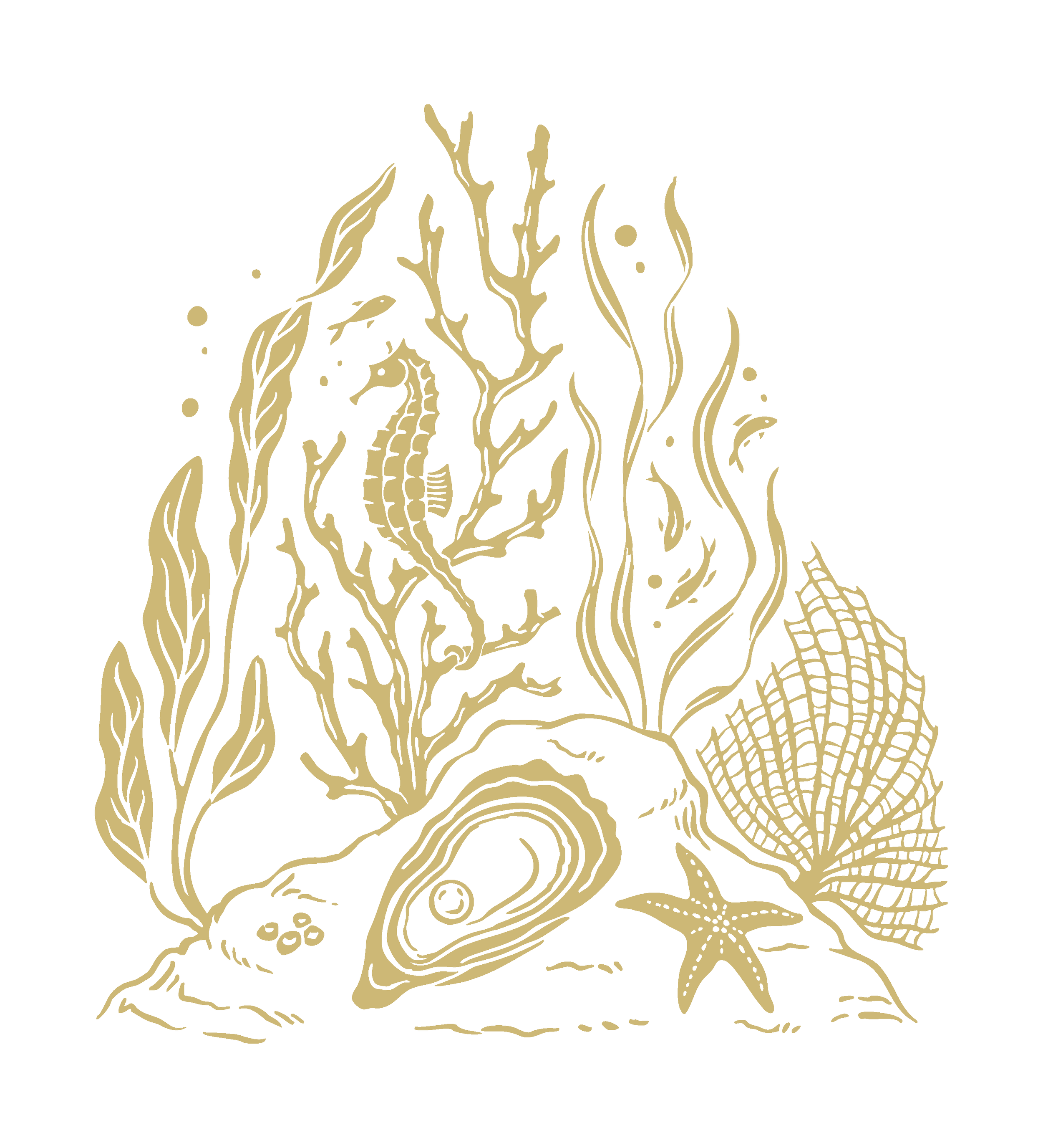 A detailed illustration of a seahorse, seaweed, and marine plants in gold on a white background.