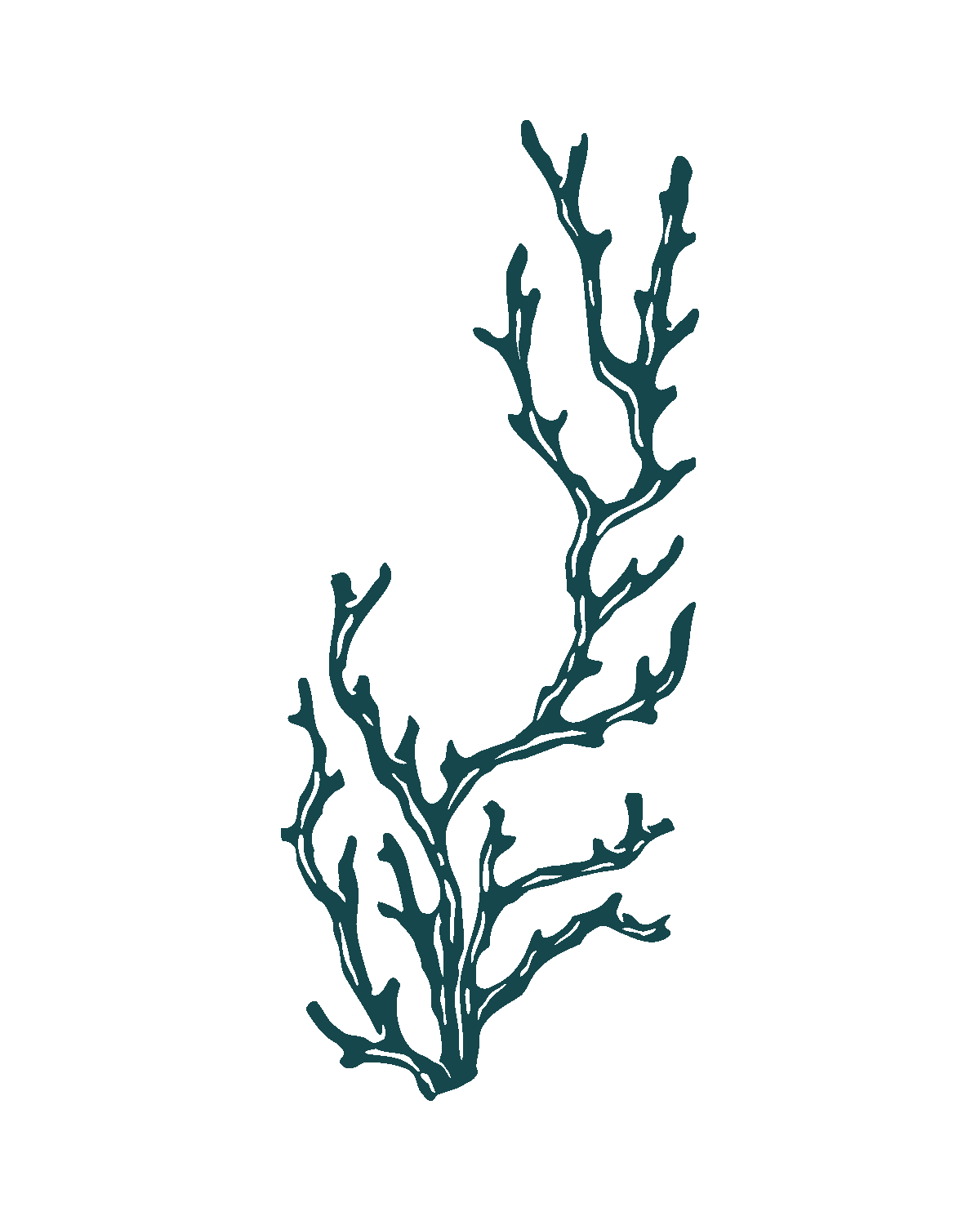 Illustration of a stylized, dark teal coral branch and expert Individual Therapy and psychotherapy and couching in NYC and Brooklyn.