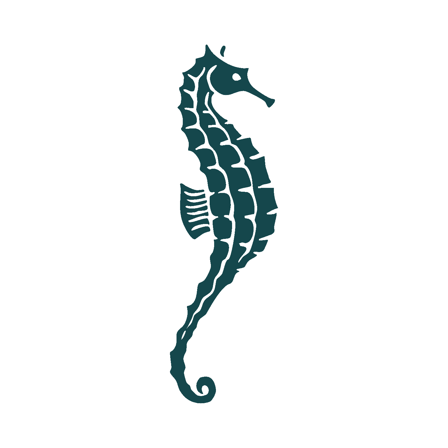 Illustration of a seahorse with LGBTQIA+ Gender Affirming Therapy in NYC and Brooklyn