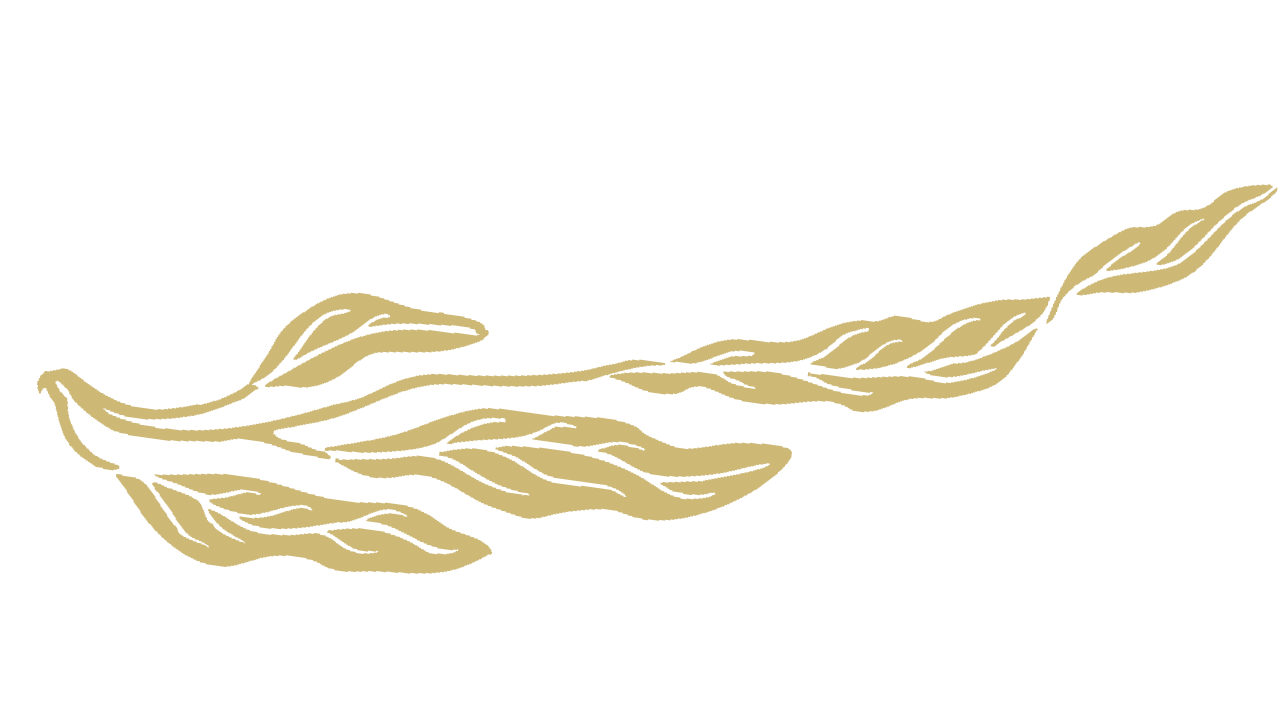 Illustration of kelp with leaf-like shapes attached.