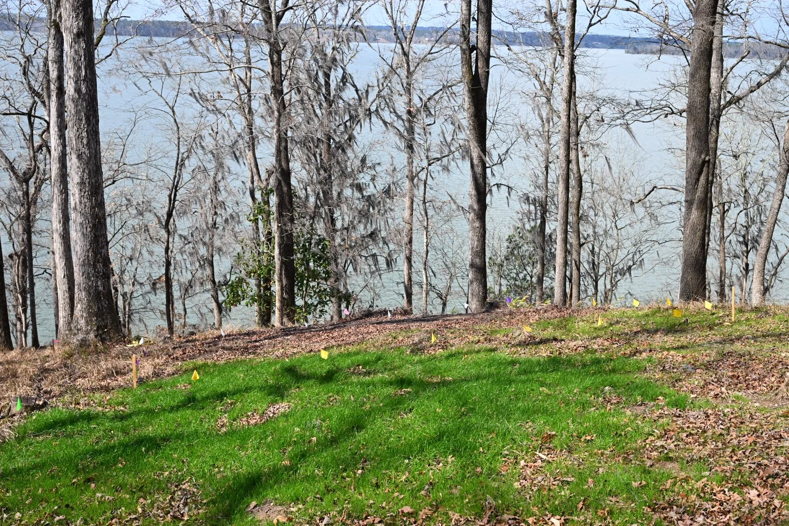 Fire Pit Entertainment Area