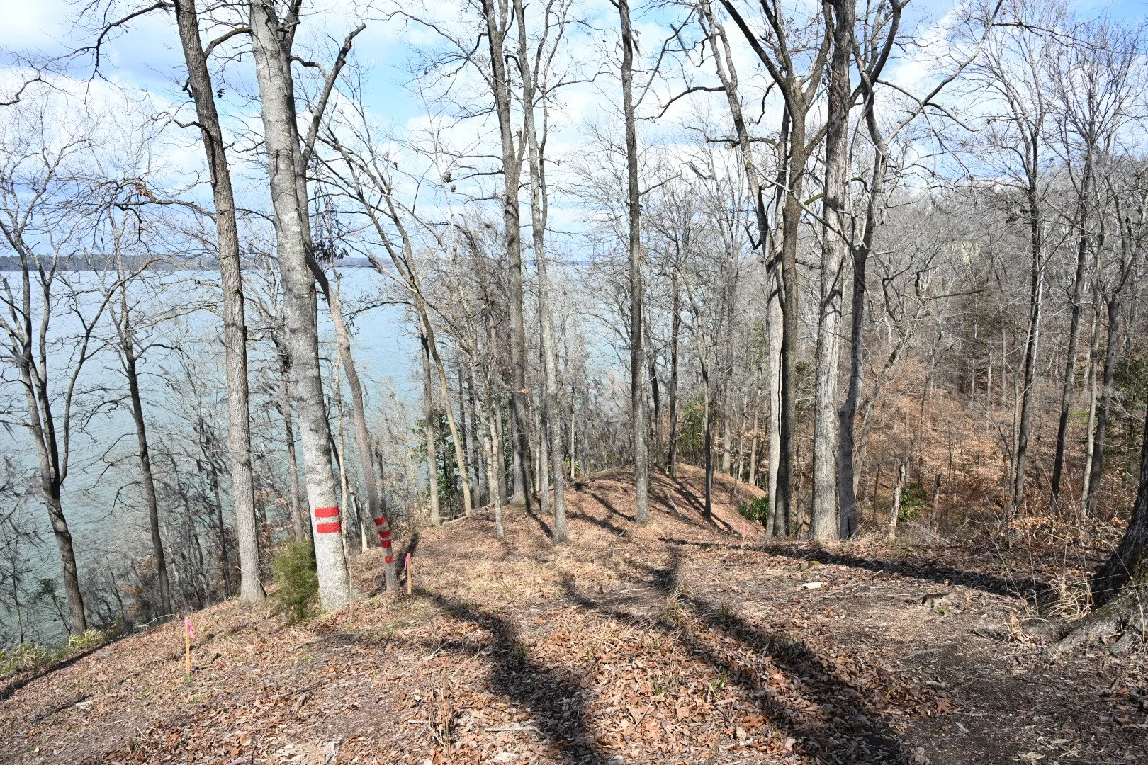 Boat Dock & Water Access Area