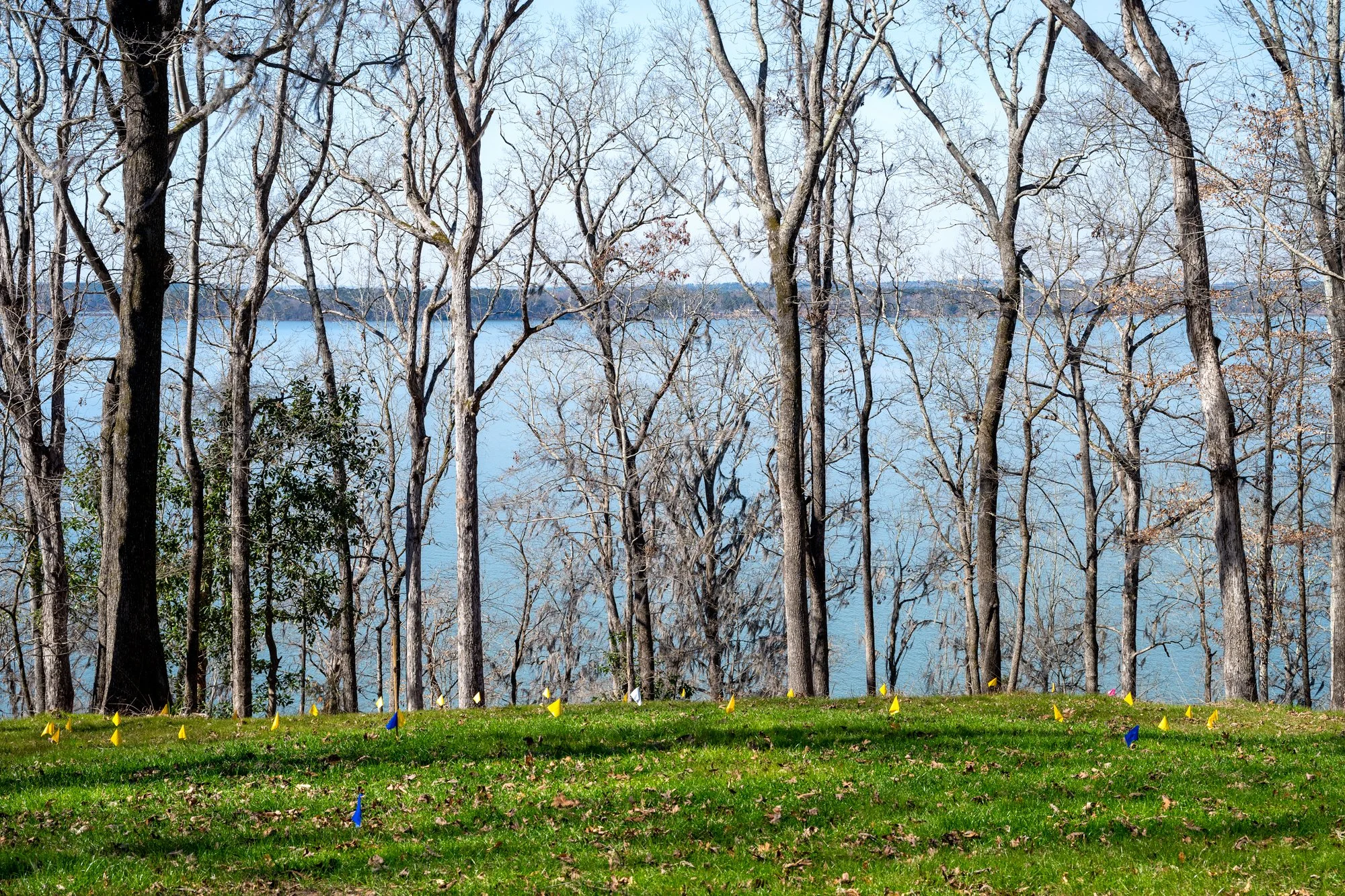 Geodesic Dome Location