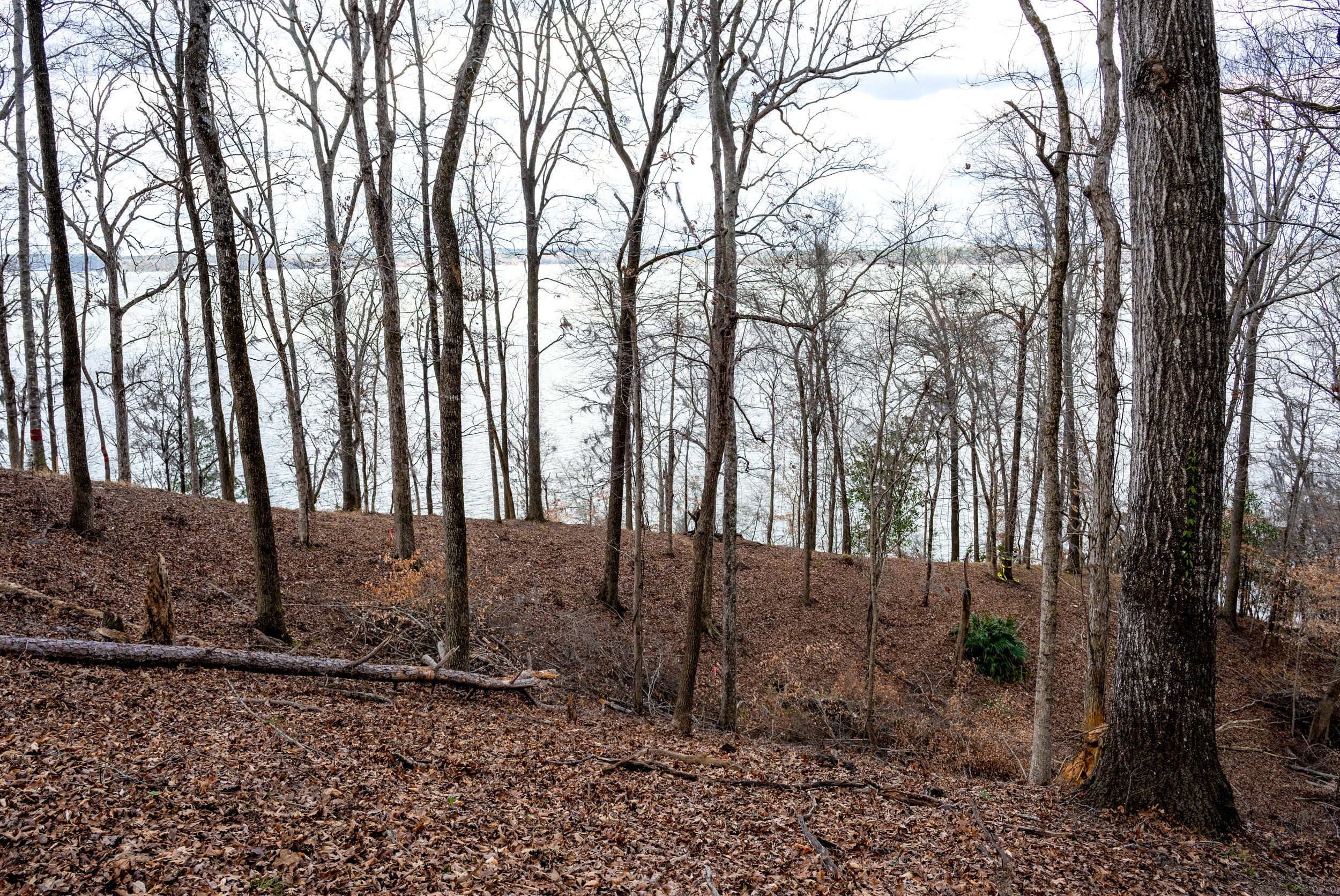 80 Foot Rope Bridge Area 