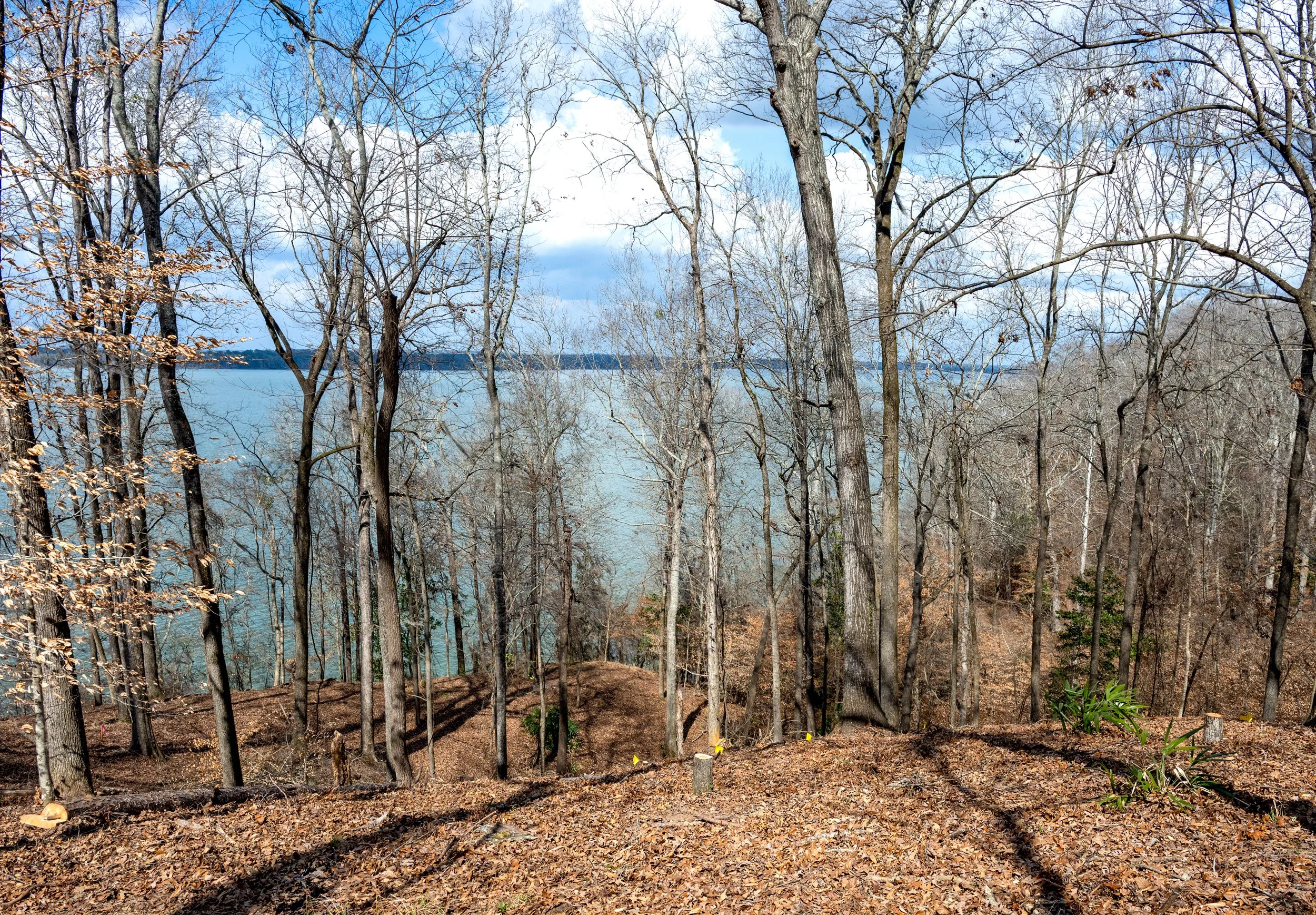 Outdoor Kitchen & Entertainment Area